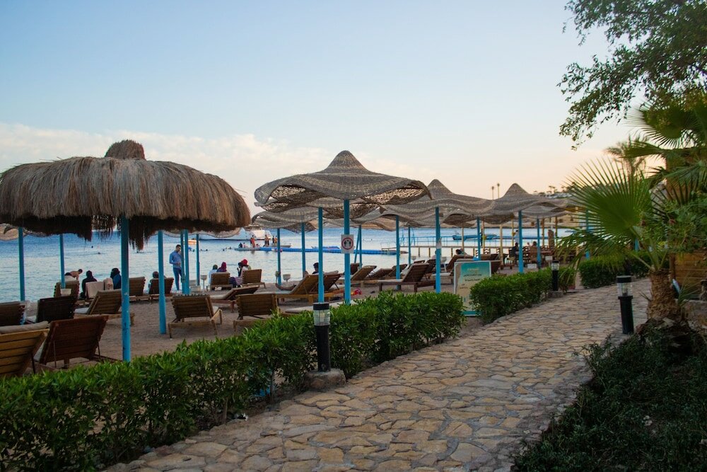 Фото Sharks Bay Hotel & Padi Butterfly