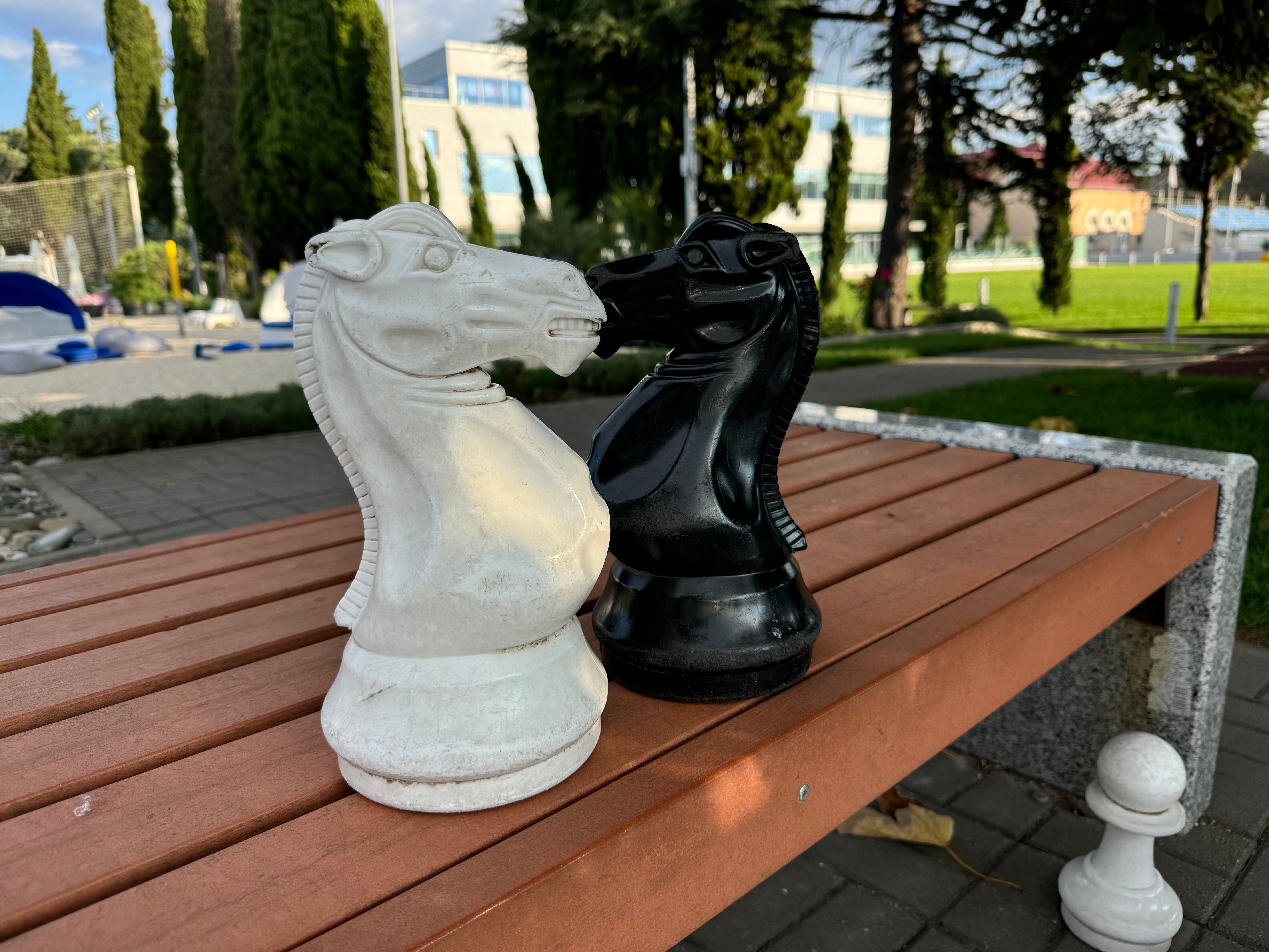 Фото Си-отель