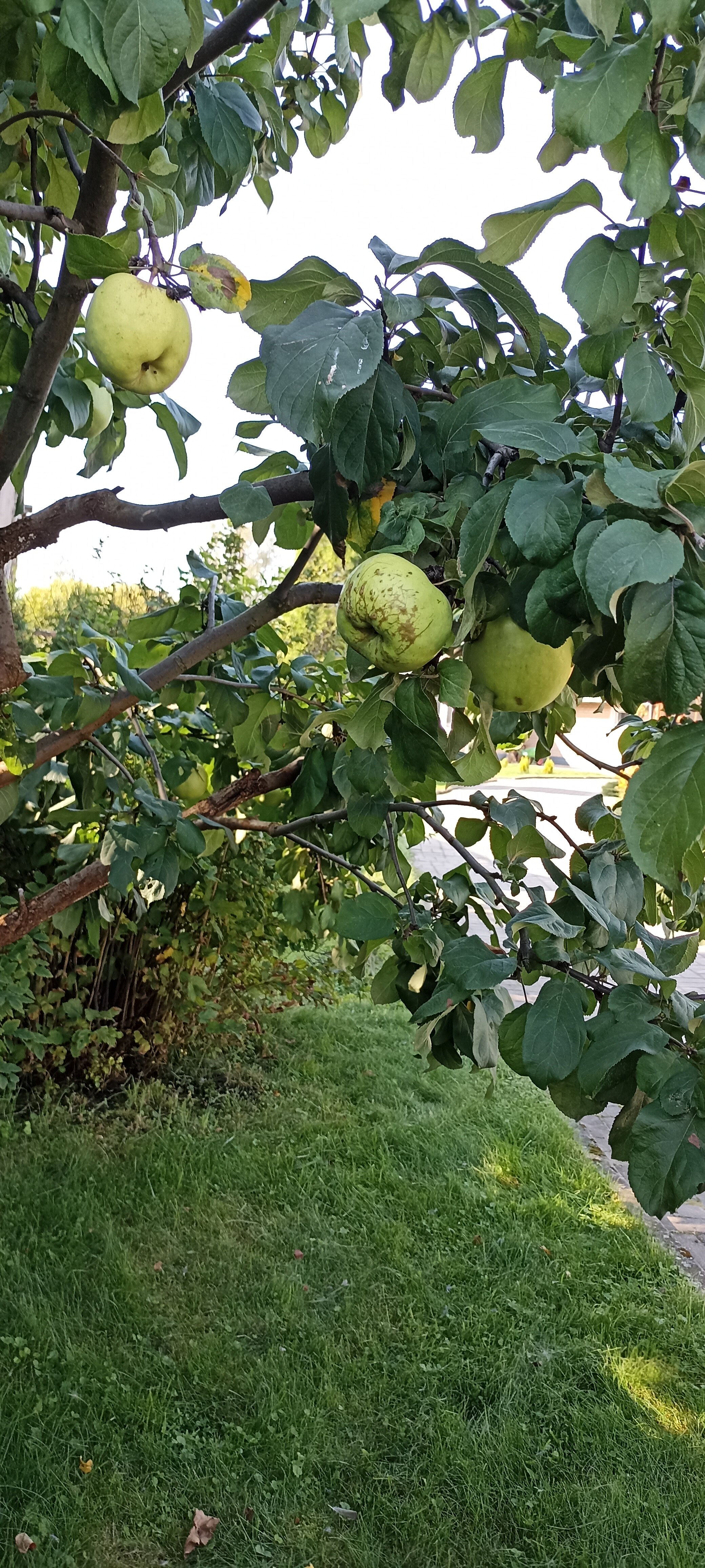 Фото Постоялый двор Ям