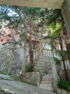 ������ - �����