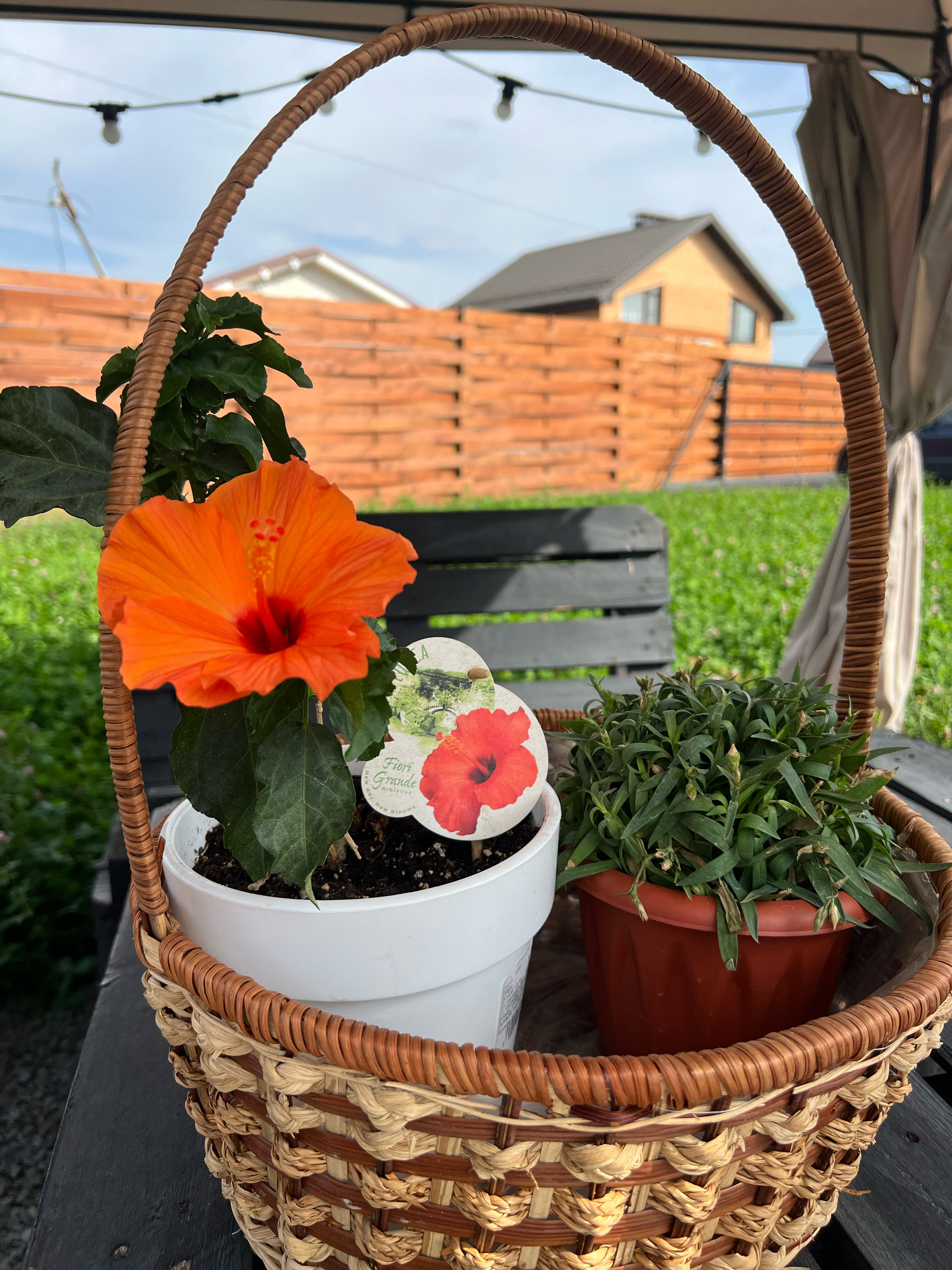 Фото Сердце Отрадного