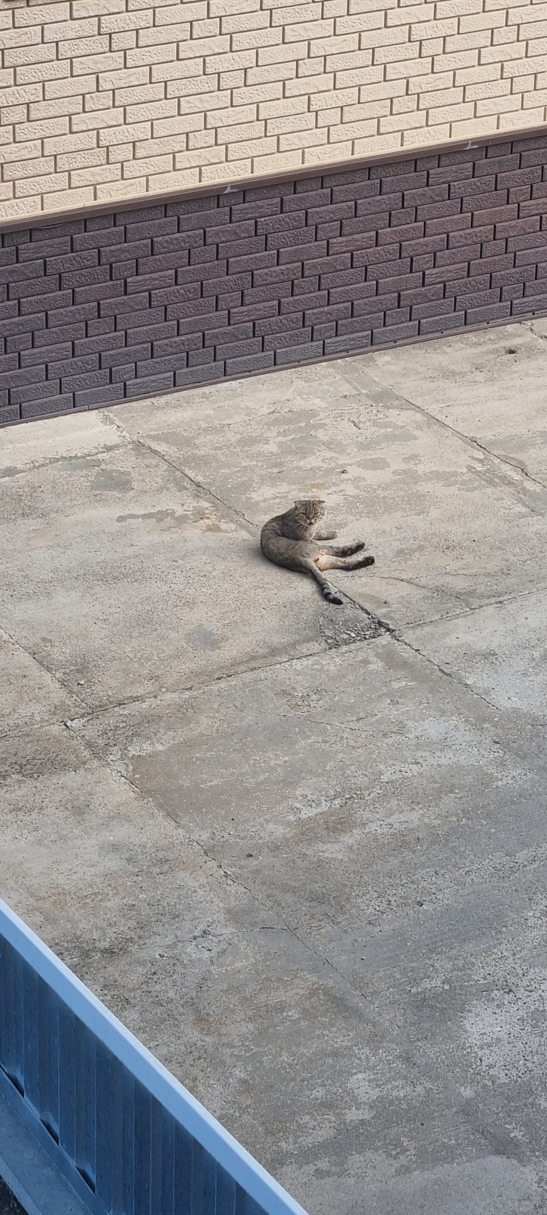 Фото Регина