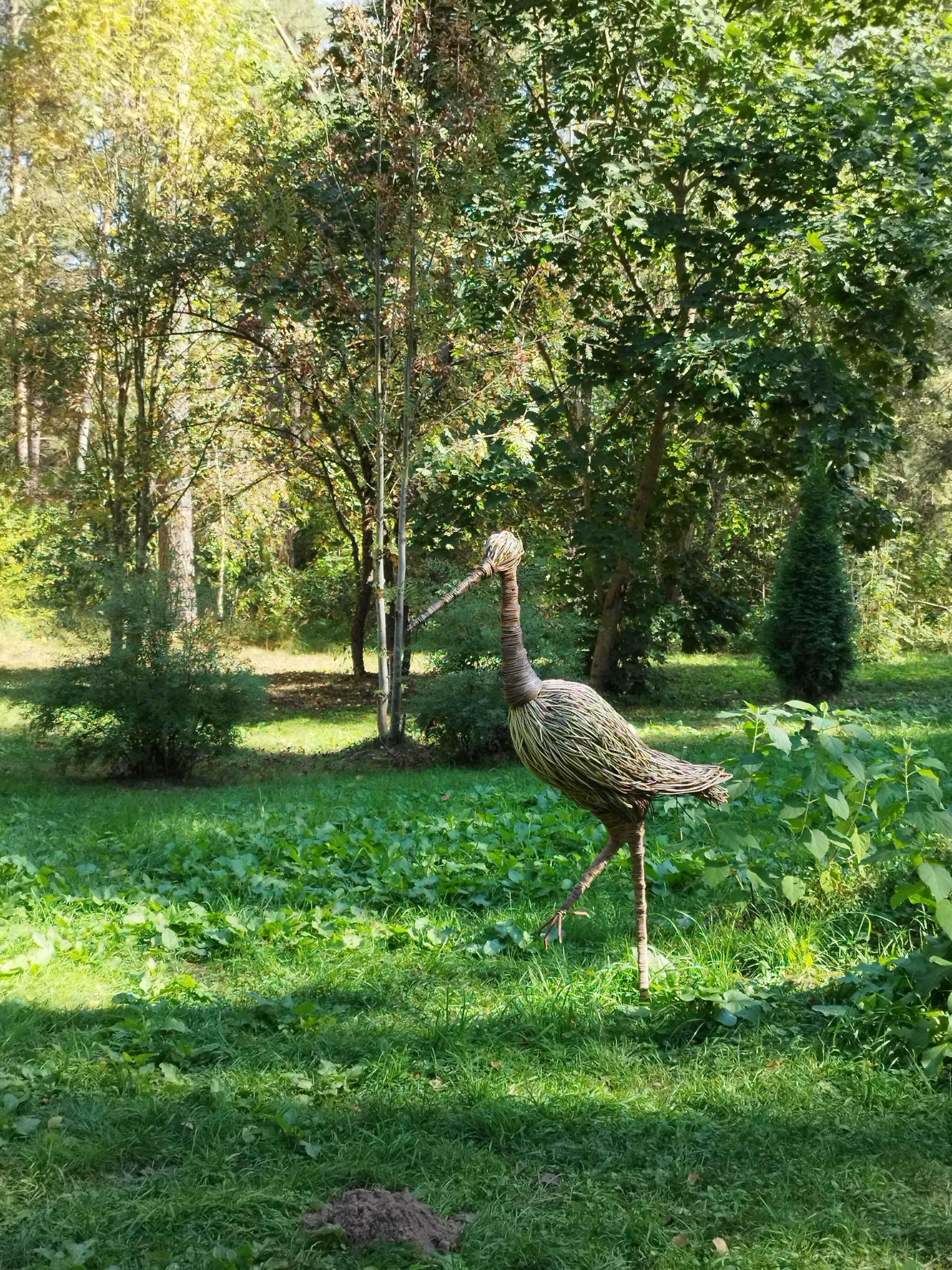 Фото Красный бор
