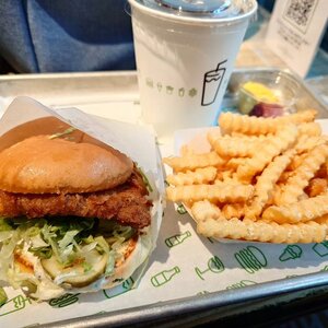 Shake Shack (Jumeirah Beach Residence, Dubai Marina, Jumeirah, Dubai), fast food