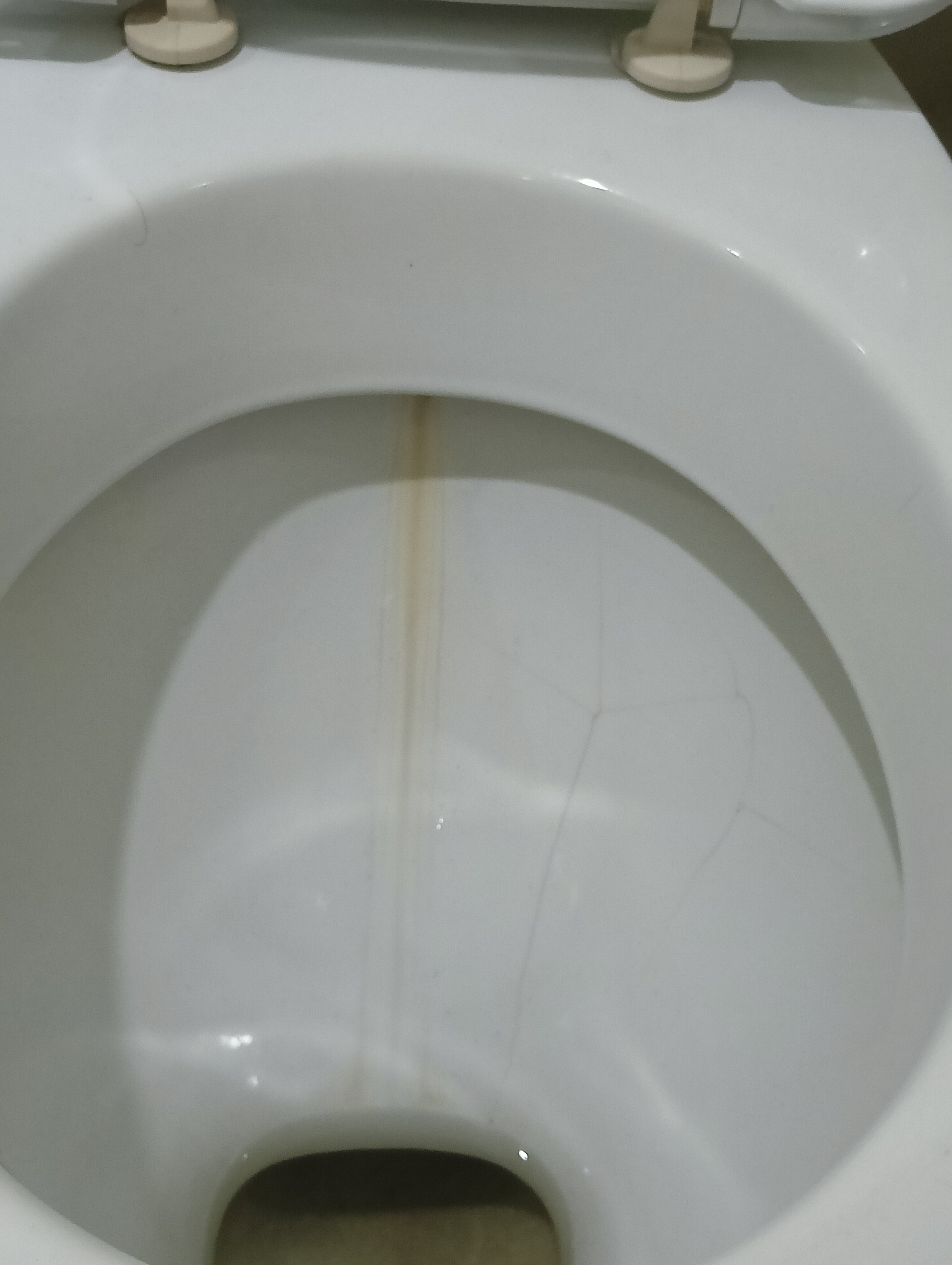 Фото Золотая Чаша