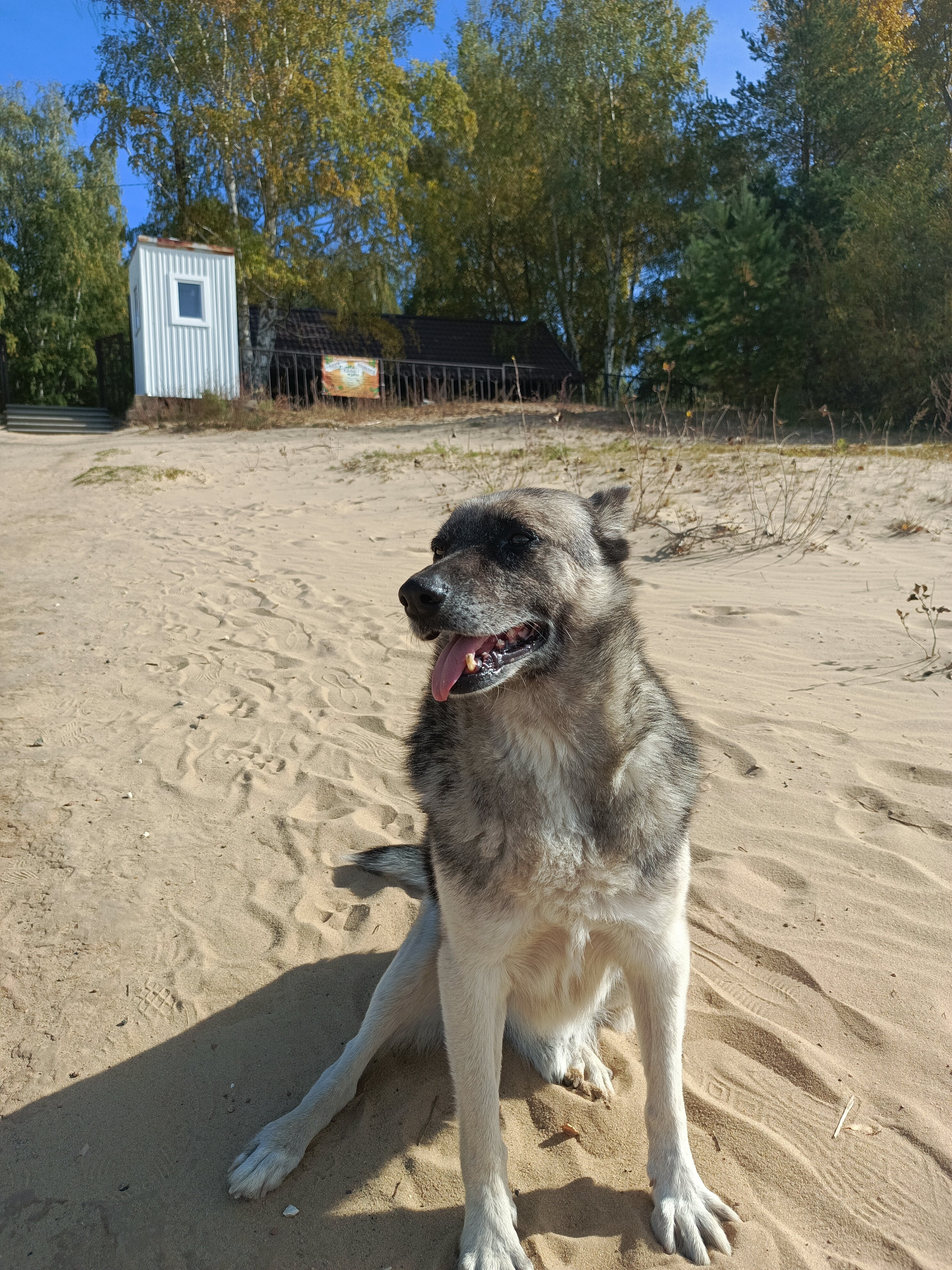 Фото Буревестник