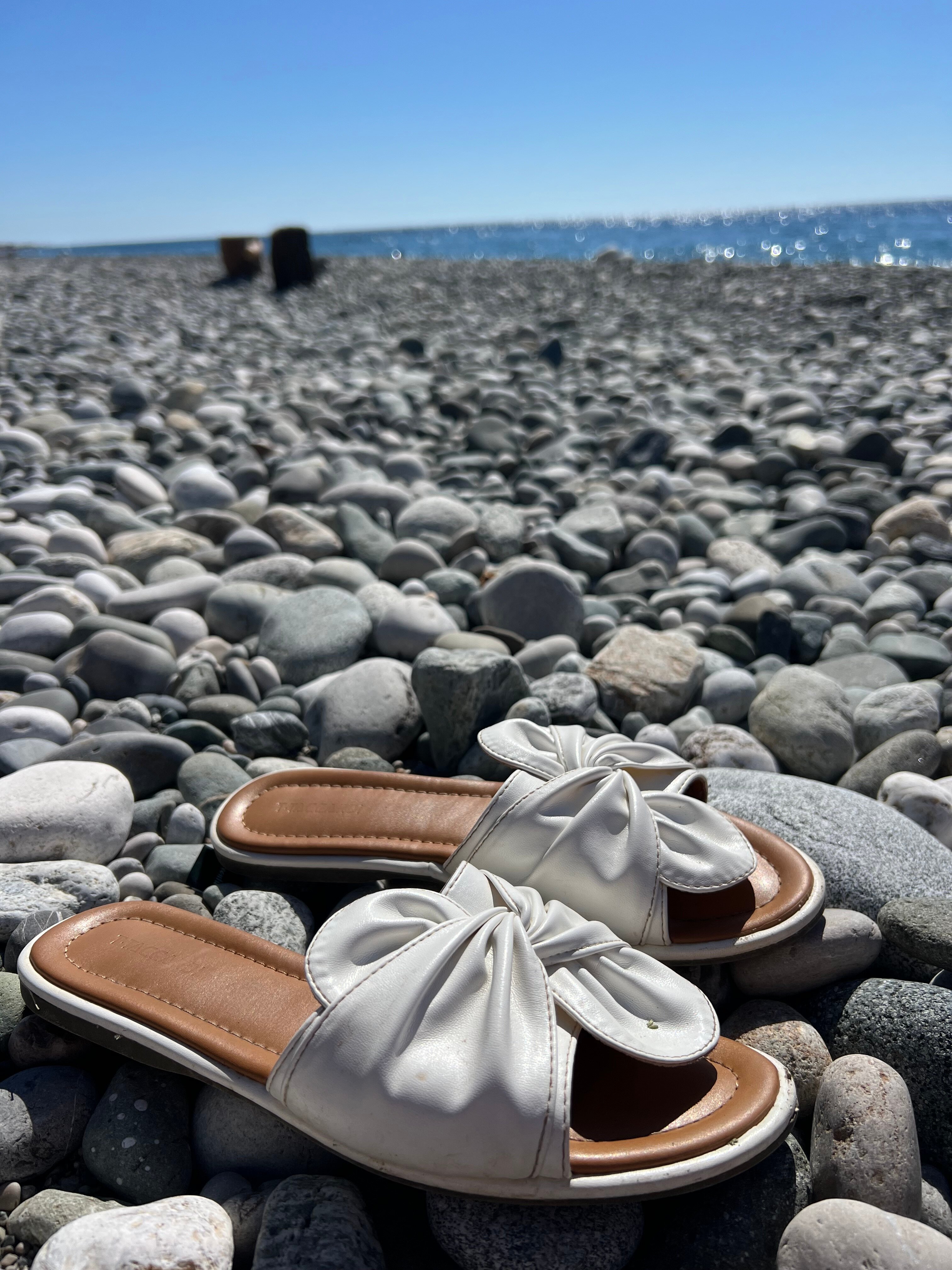 Фото Сосновый рай