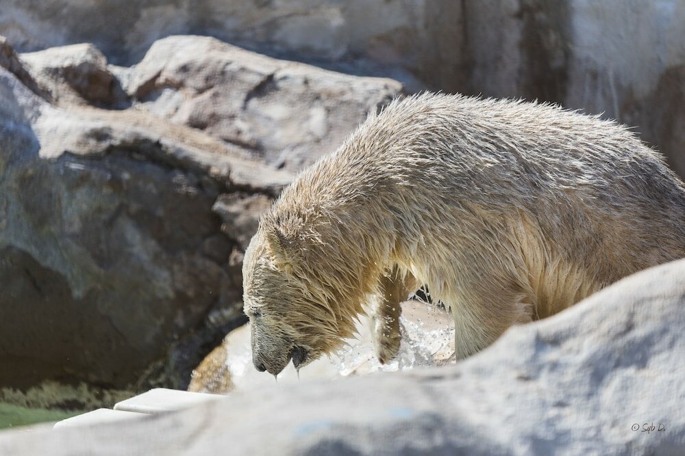 Фото Greet Hotel Nice Aéroport Promenade des Anglais