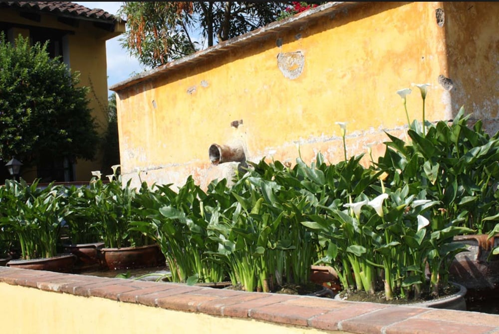 Фото Quinta de las Flores