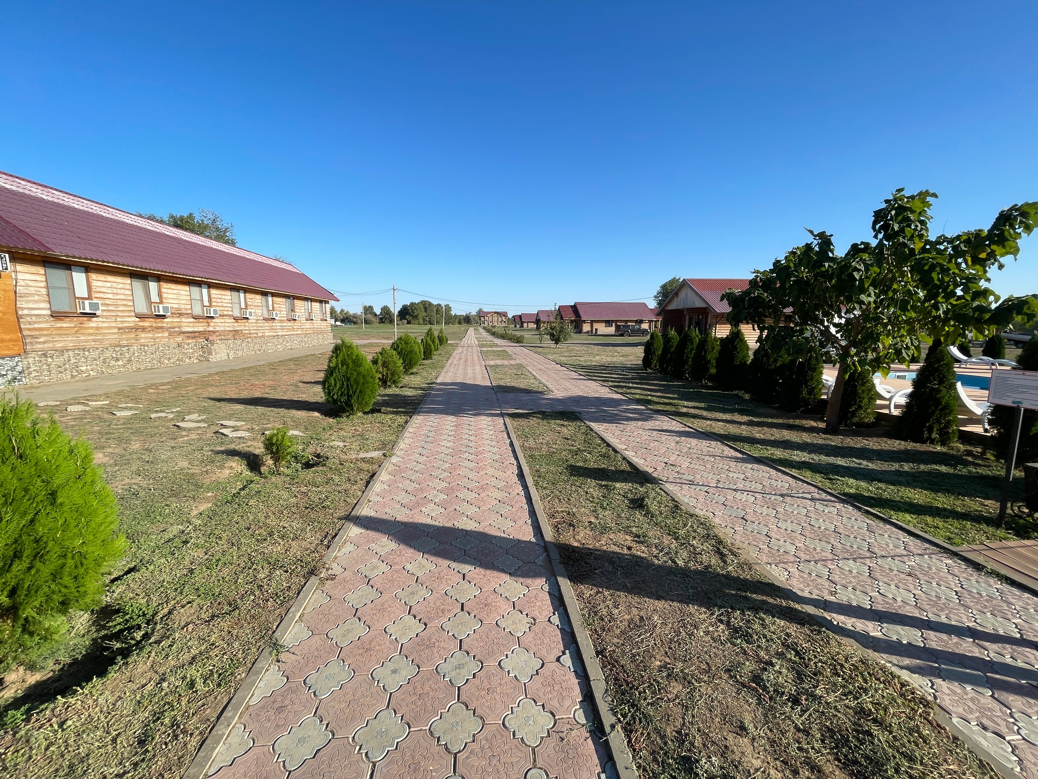 Фото Золотая рыбка