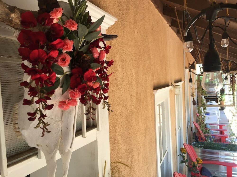 Фото Painted Lady Bed & Brew