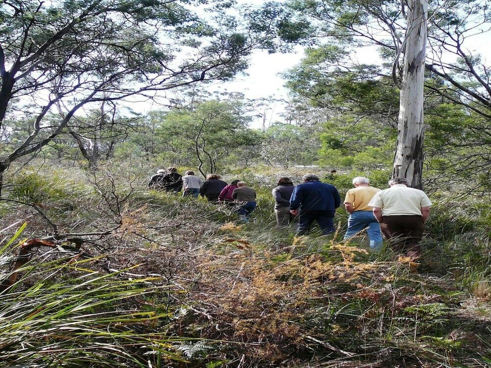 Фото Wind Song Bed & Breakfast