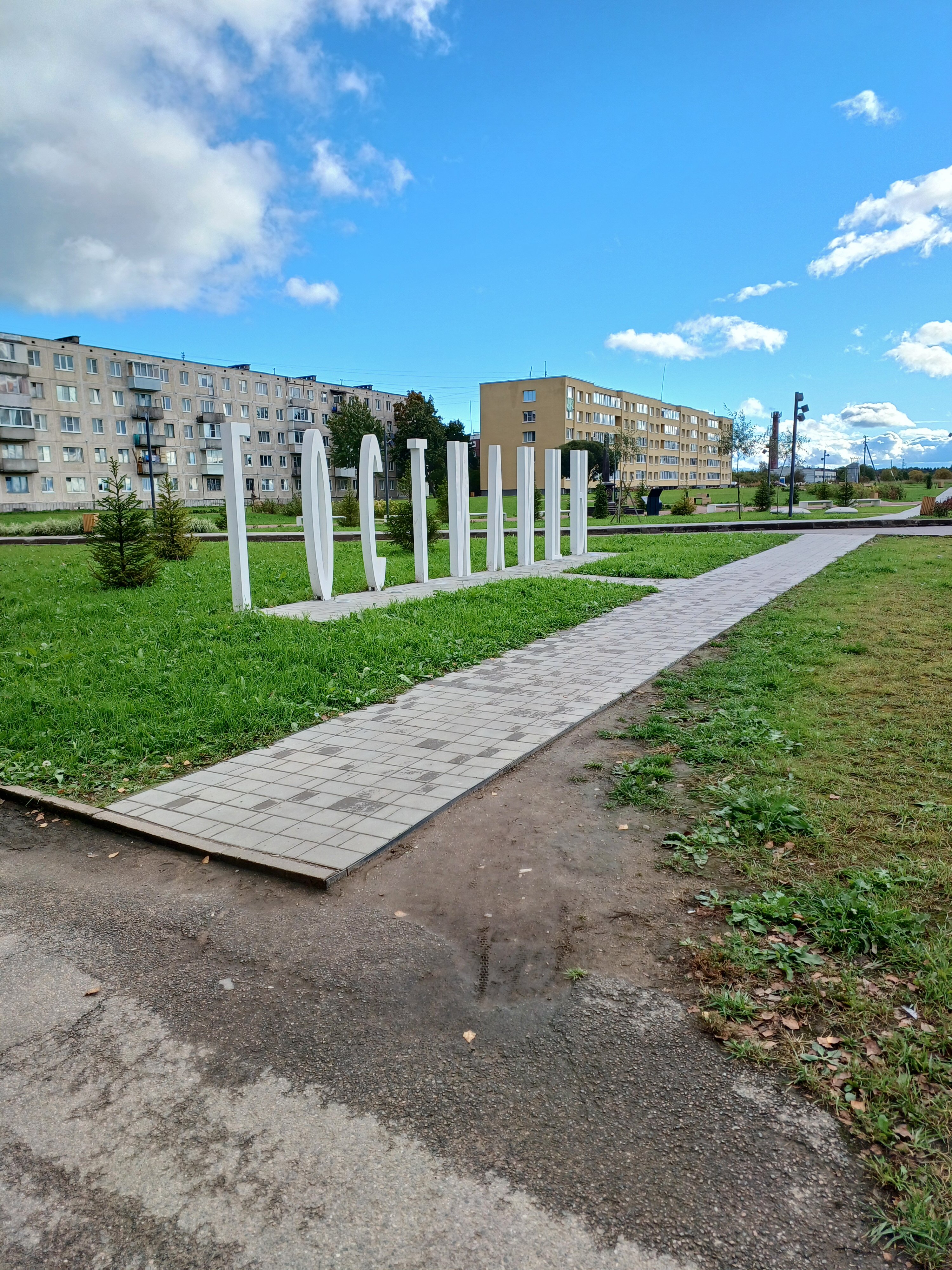 Фото Мишка на прудах