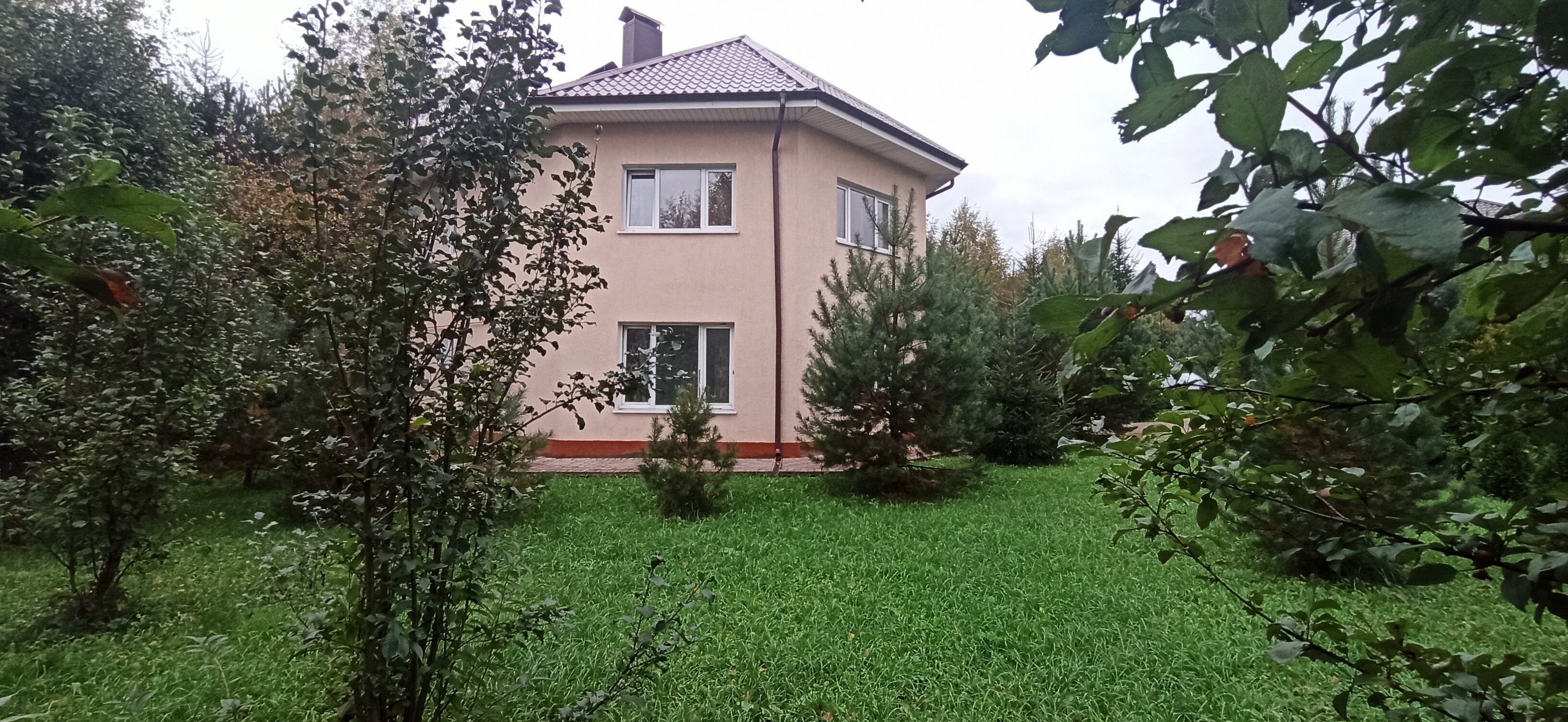 Фото Алирико