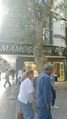 Mamoş Kuyumculuk Fotoğraf 2