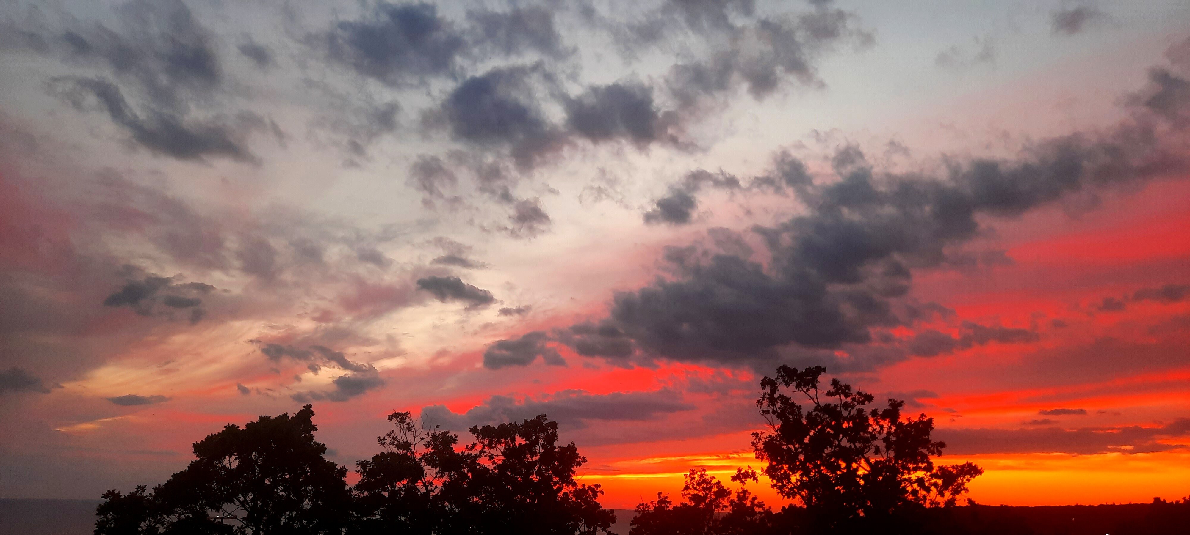 Фото Дубовая Роща