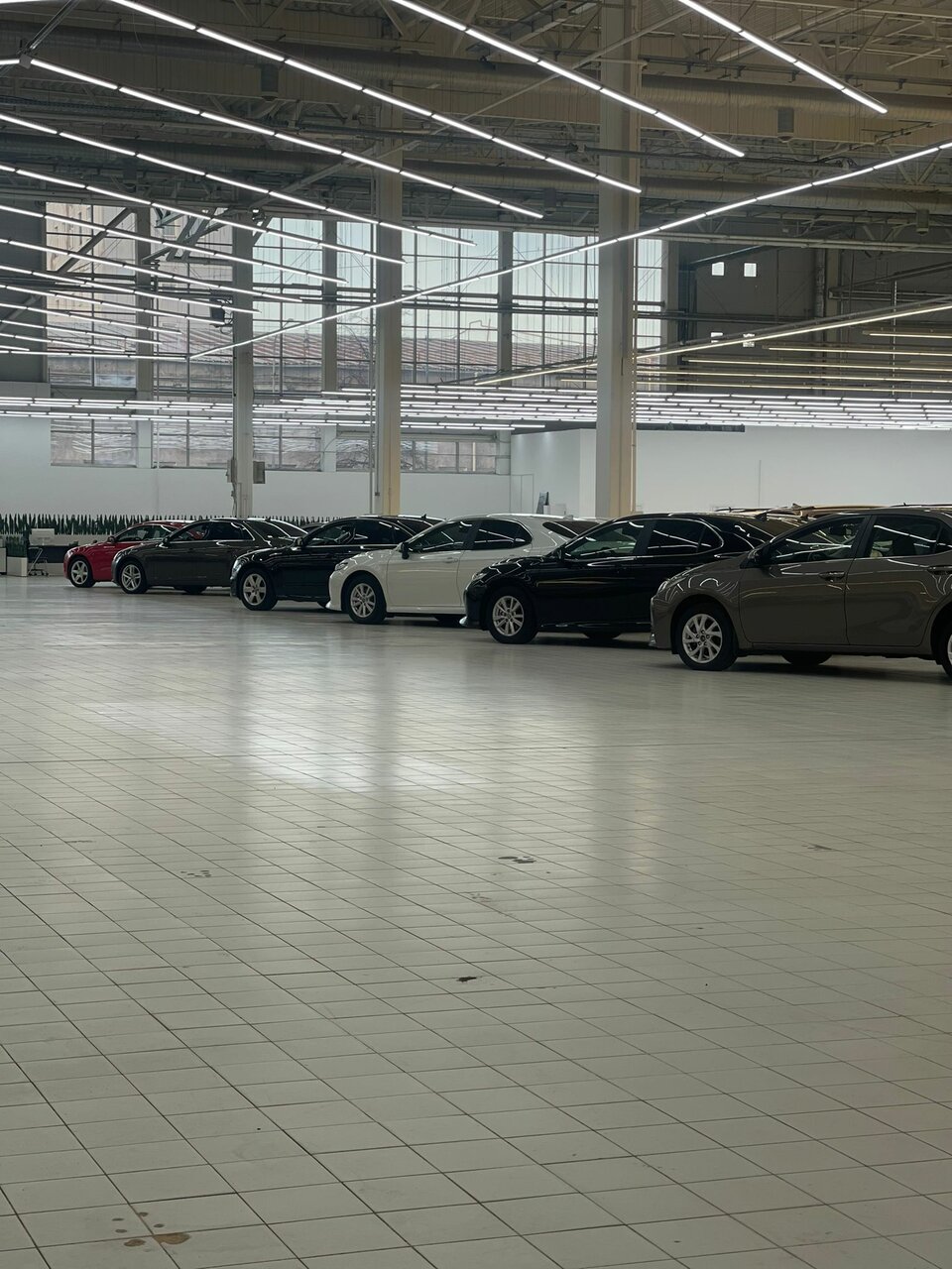 photo Авто Арена