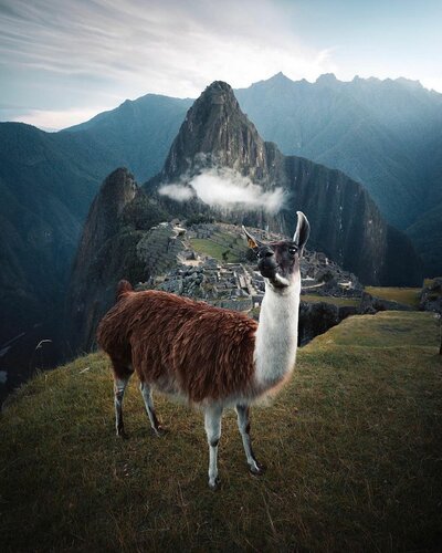 Onarlar Sarraf Fotoğraf 2