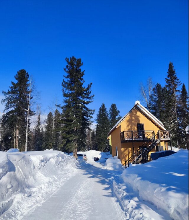 Фото Заповедный лес