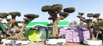 Al Refa Nursery (103, Garden Street, Warsan 3, Mushraif, Dubai), management company