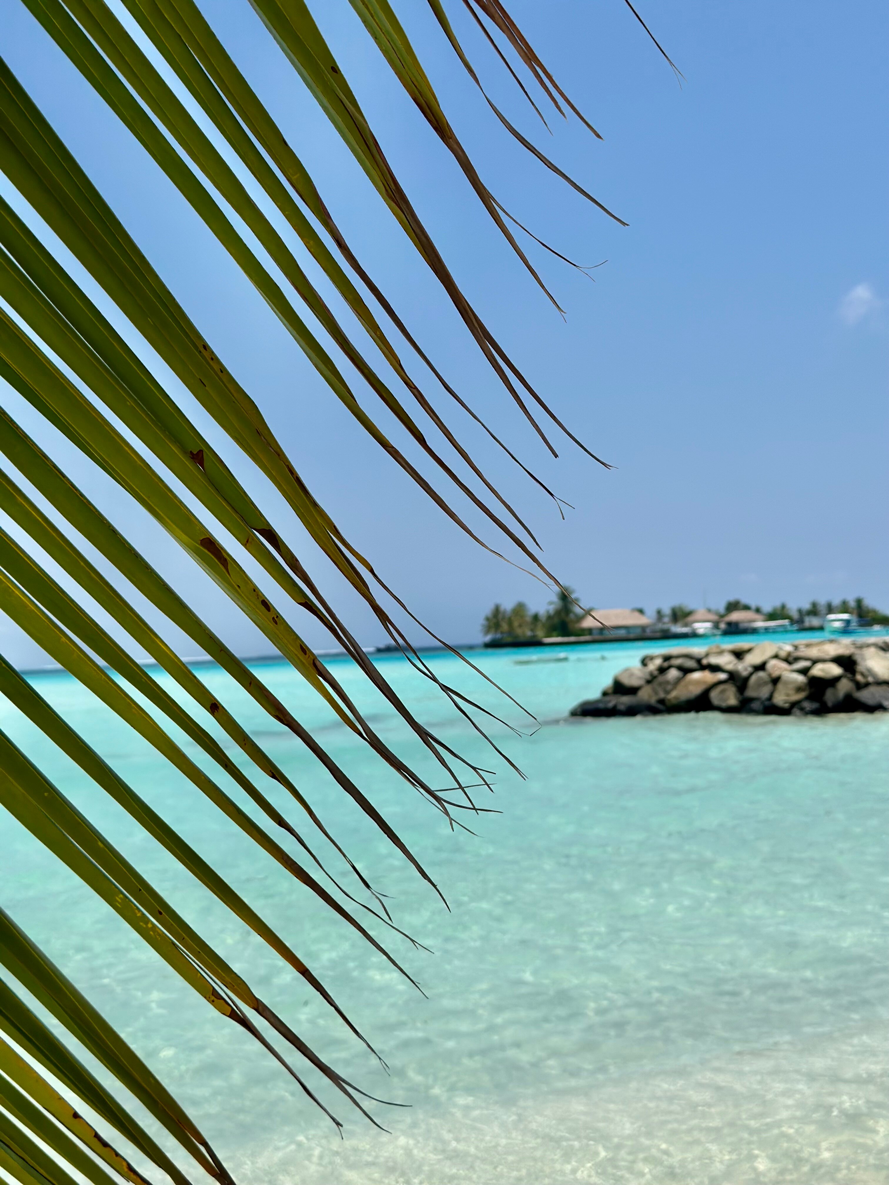 Фото Ocean Retreat & SPA