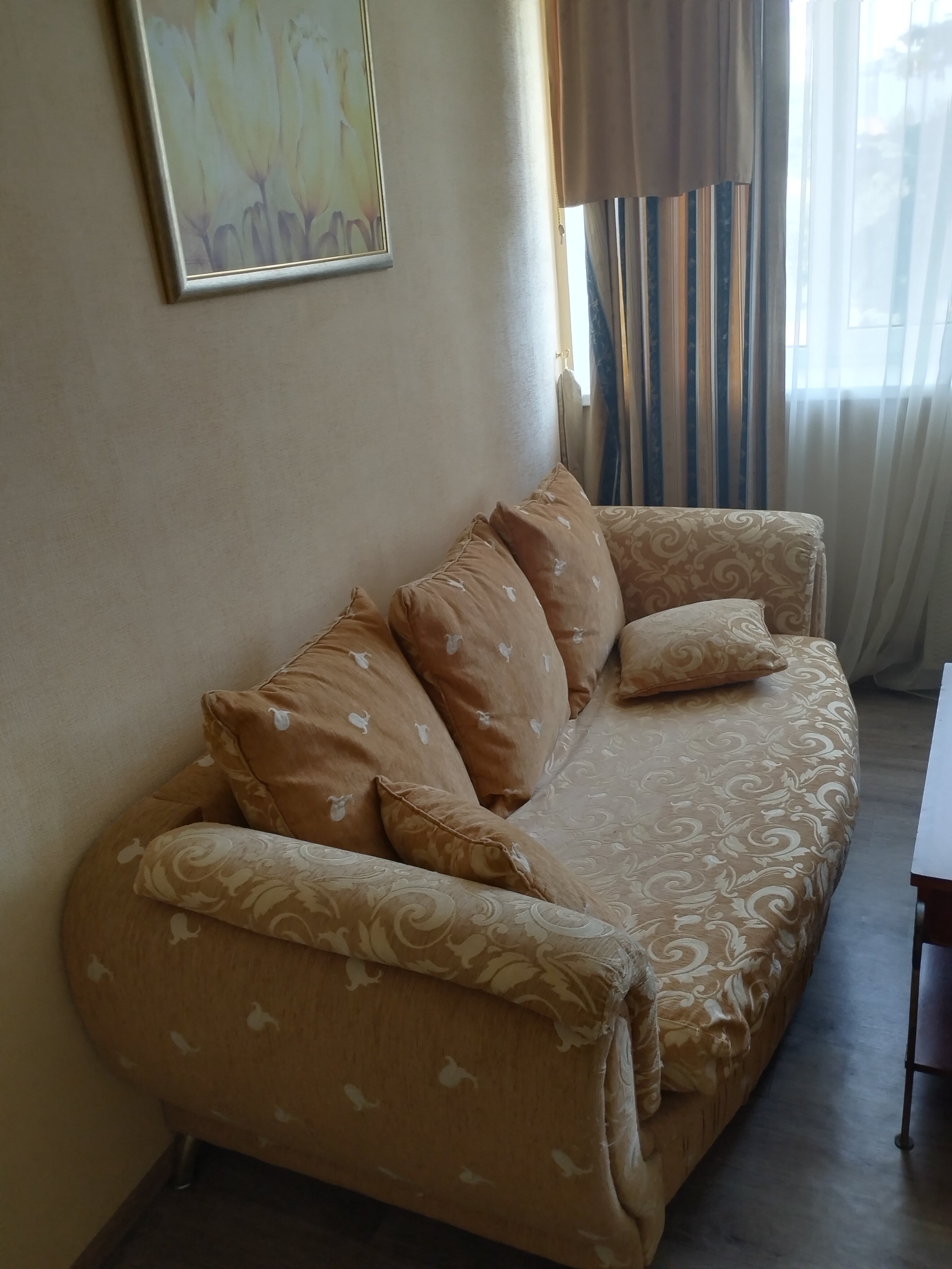 Фото Тюльпан