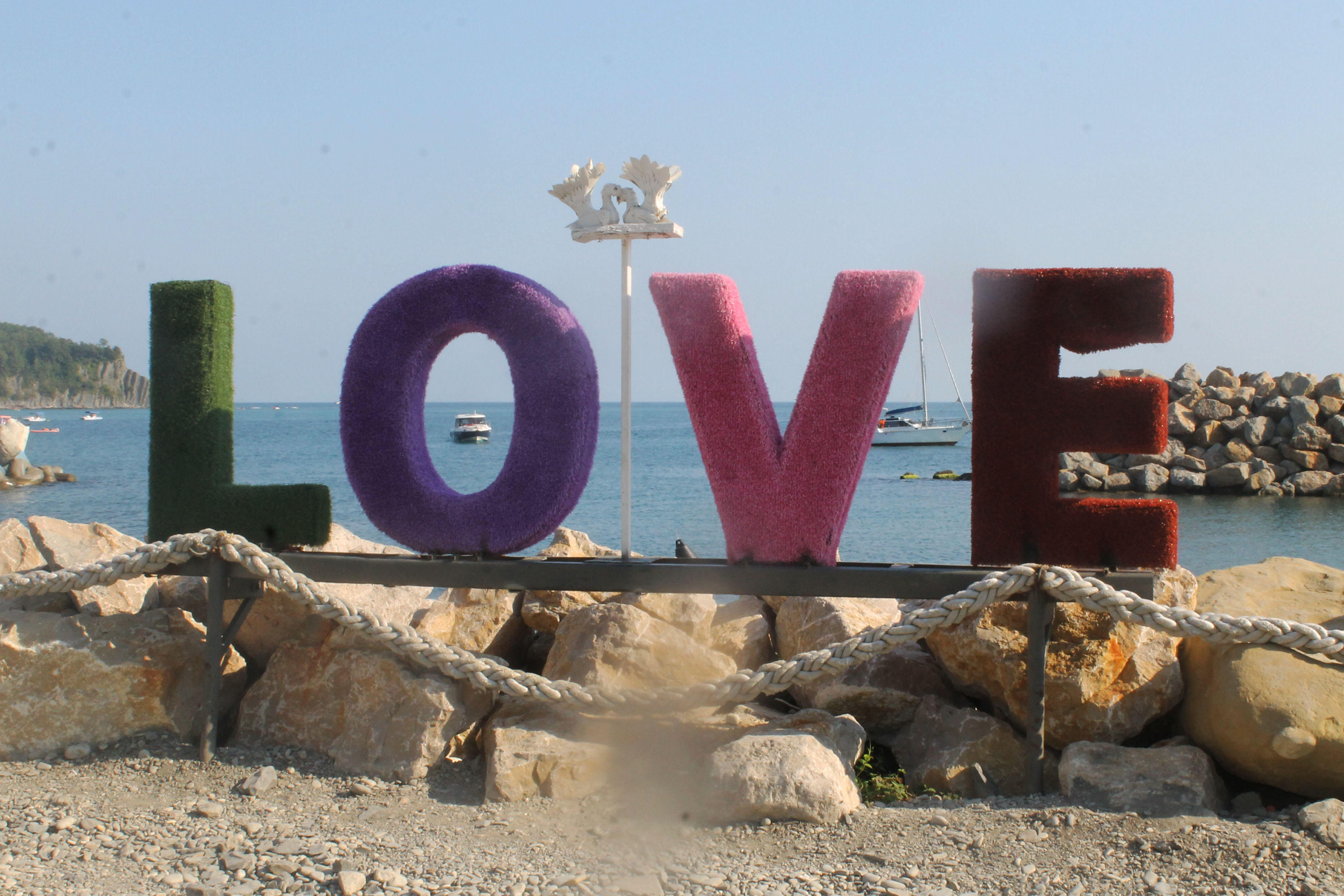 Фото Кипарис