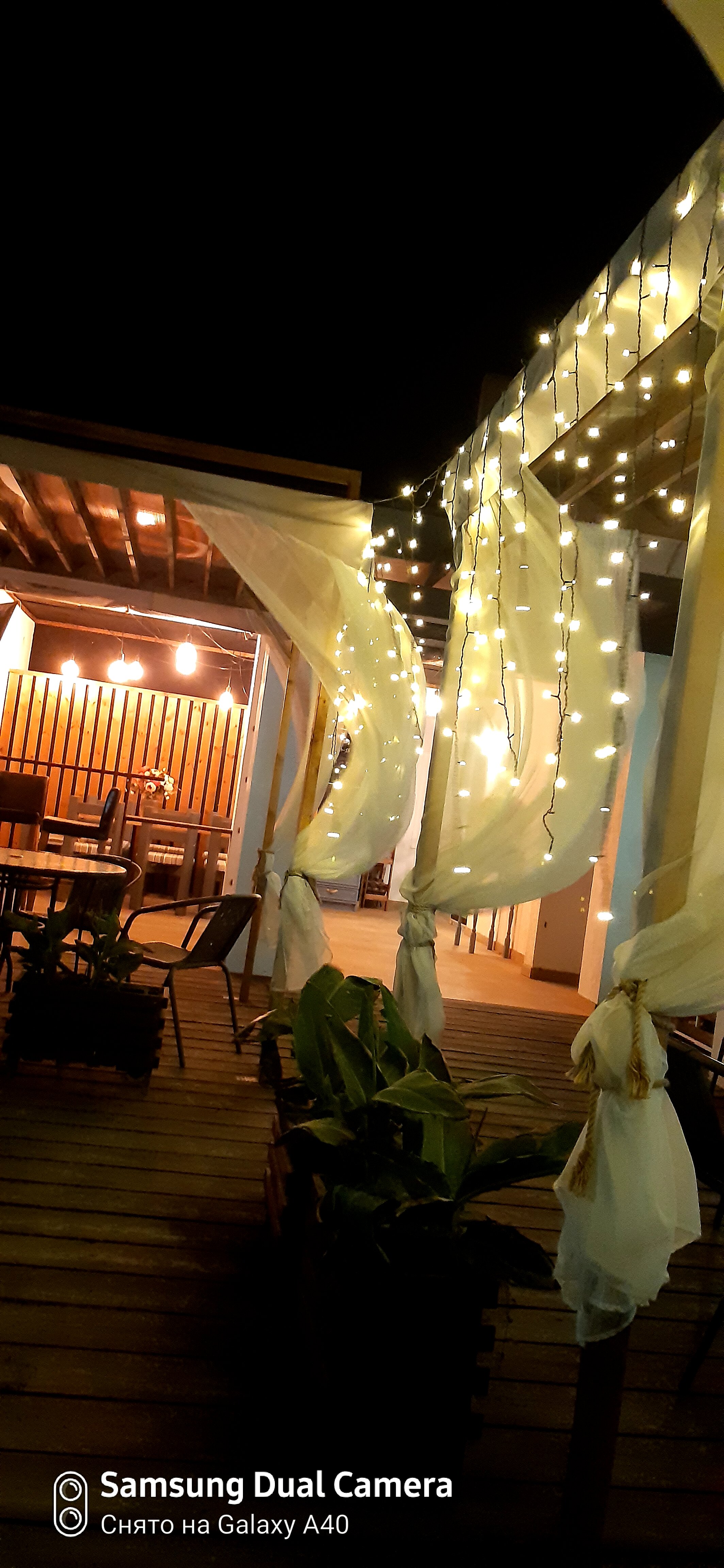 Фото Гранд Камелия