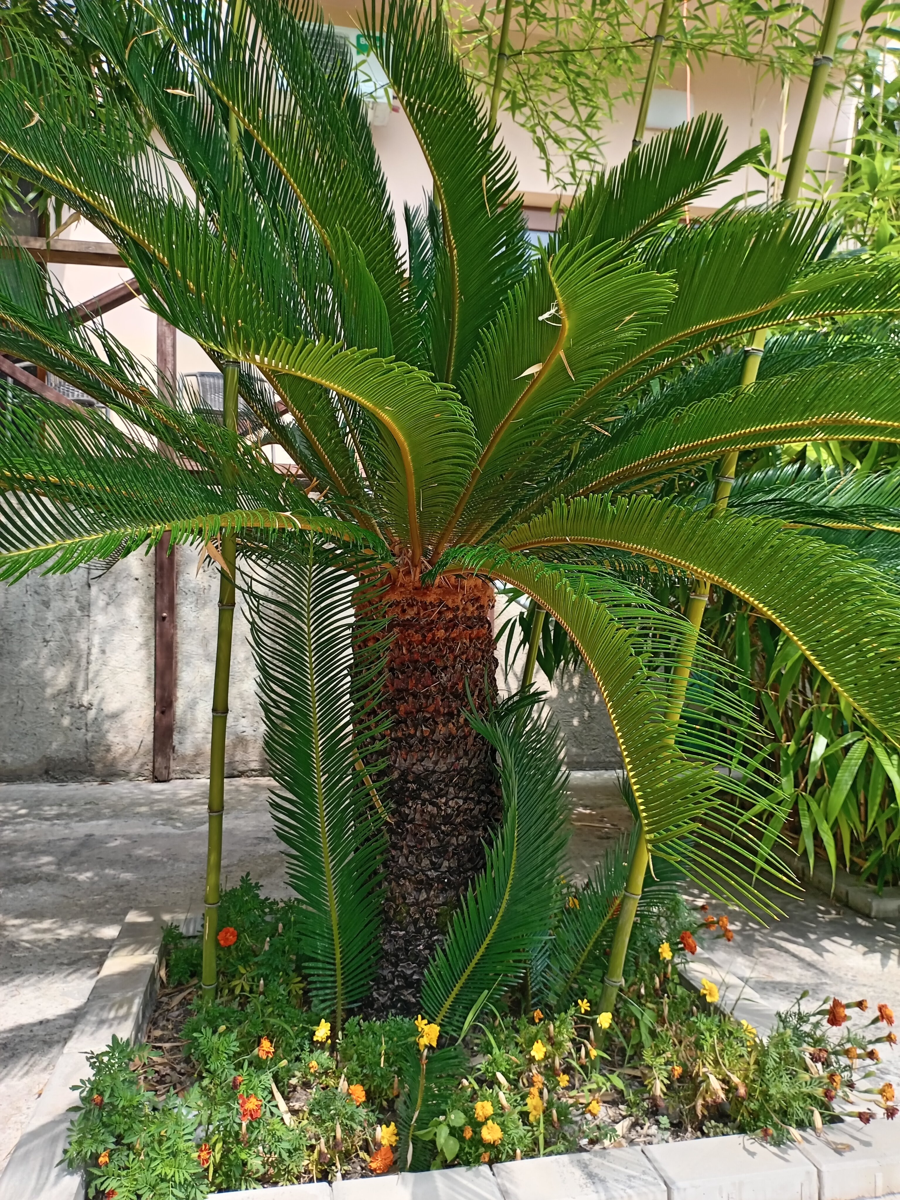 Фото Аркадия