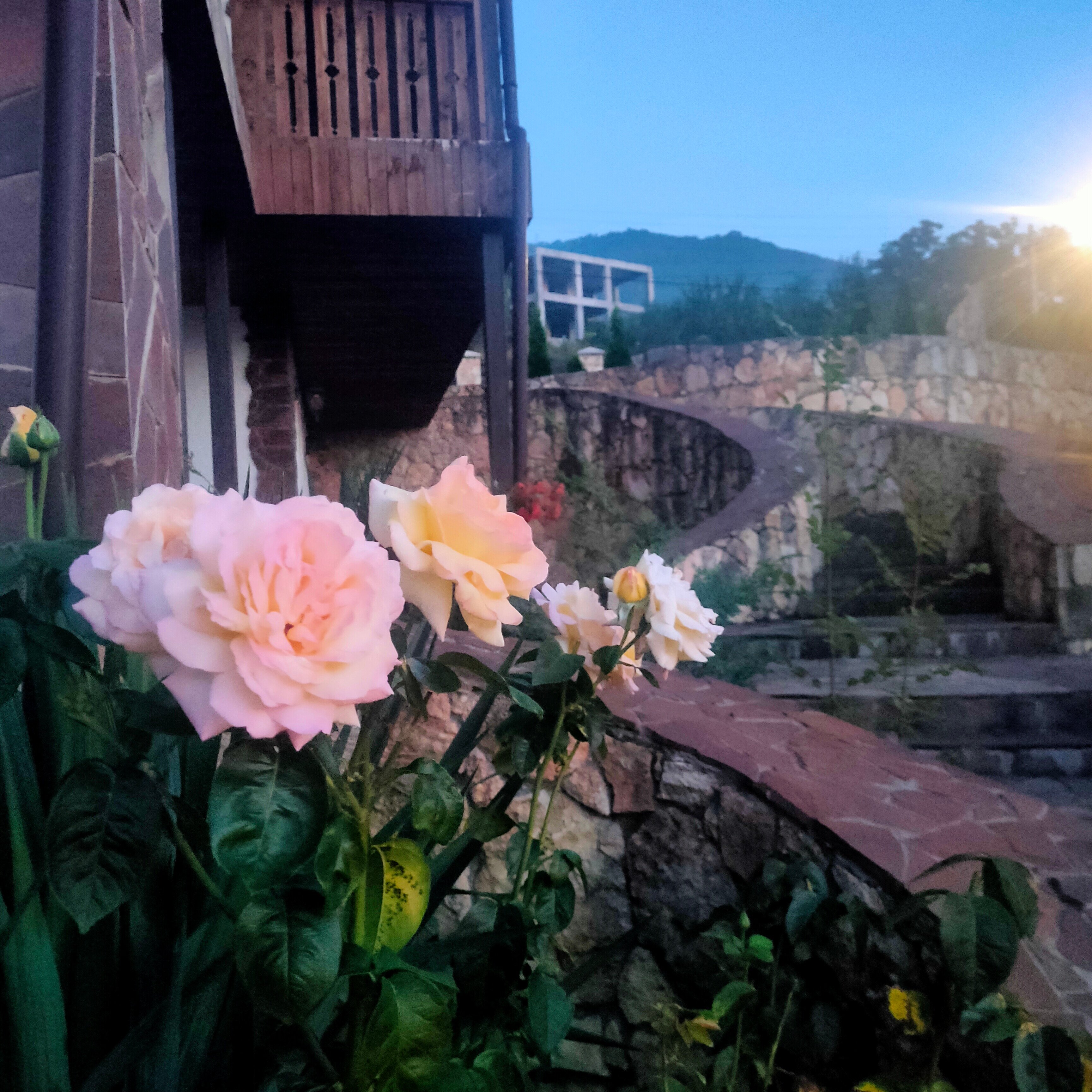 Фото Богатое ущелье