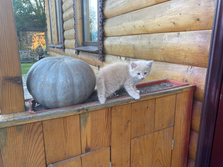 Фото Атамань-на-Дону