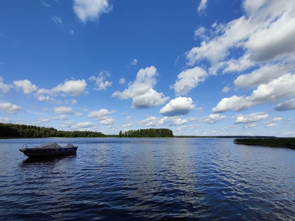 База, дом отдыха Медовец, Новгородская область, фото