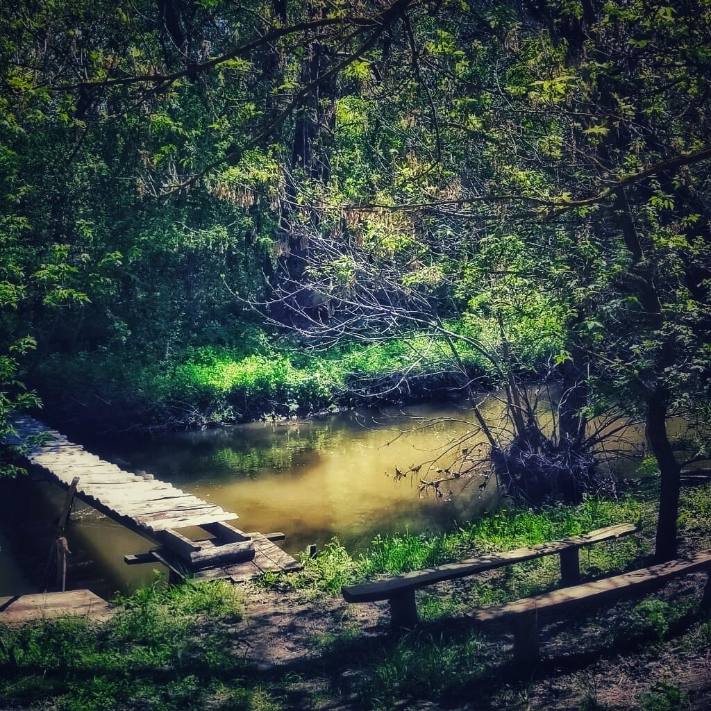 Фото СтепнаяЗдравница