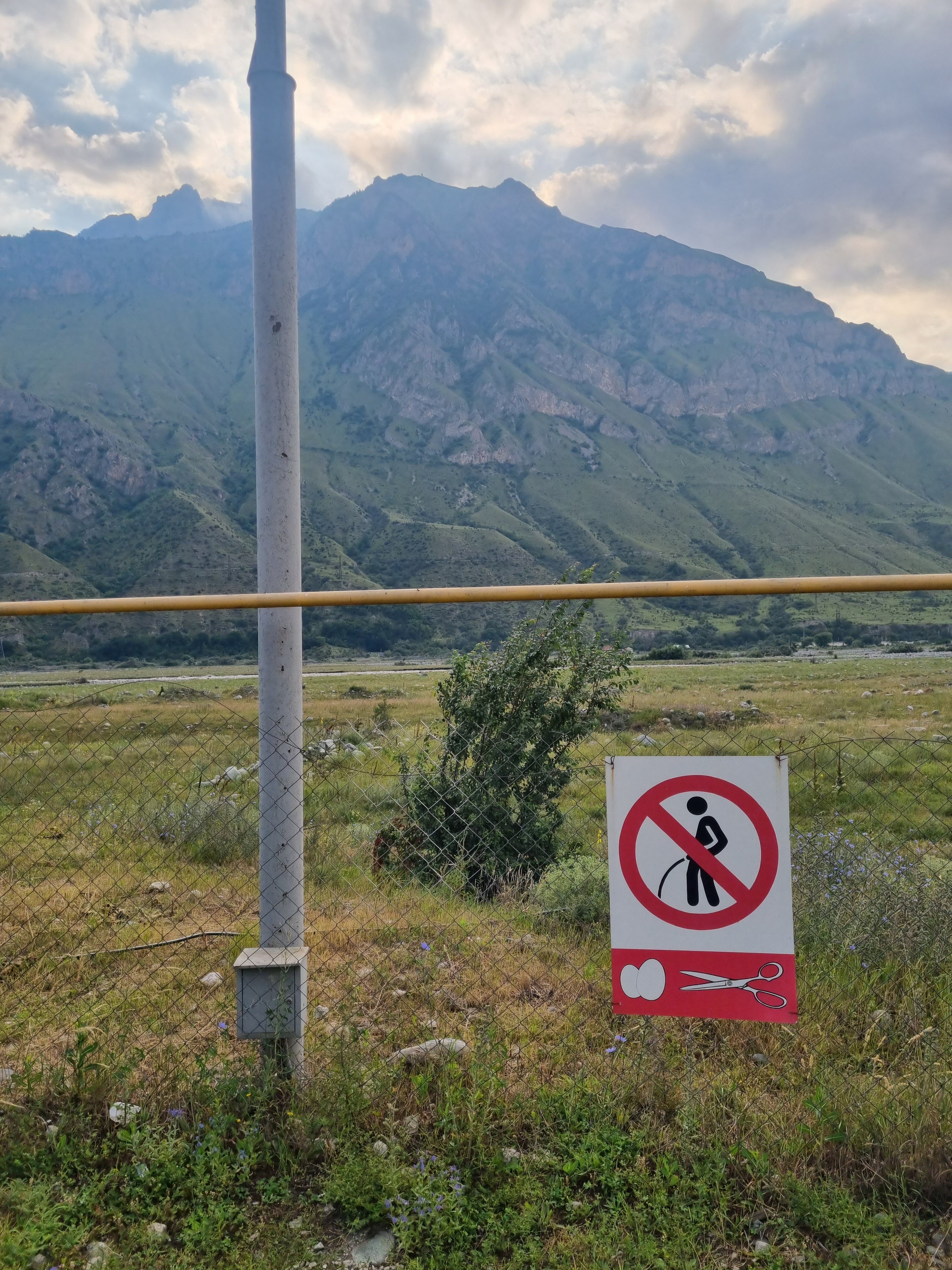 Фото Магистраль