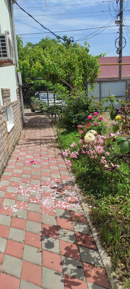 Фото Комильфо