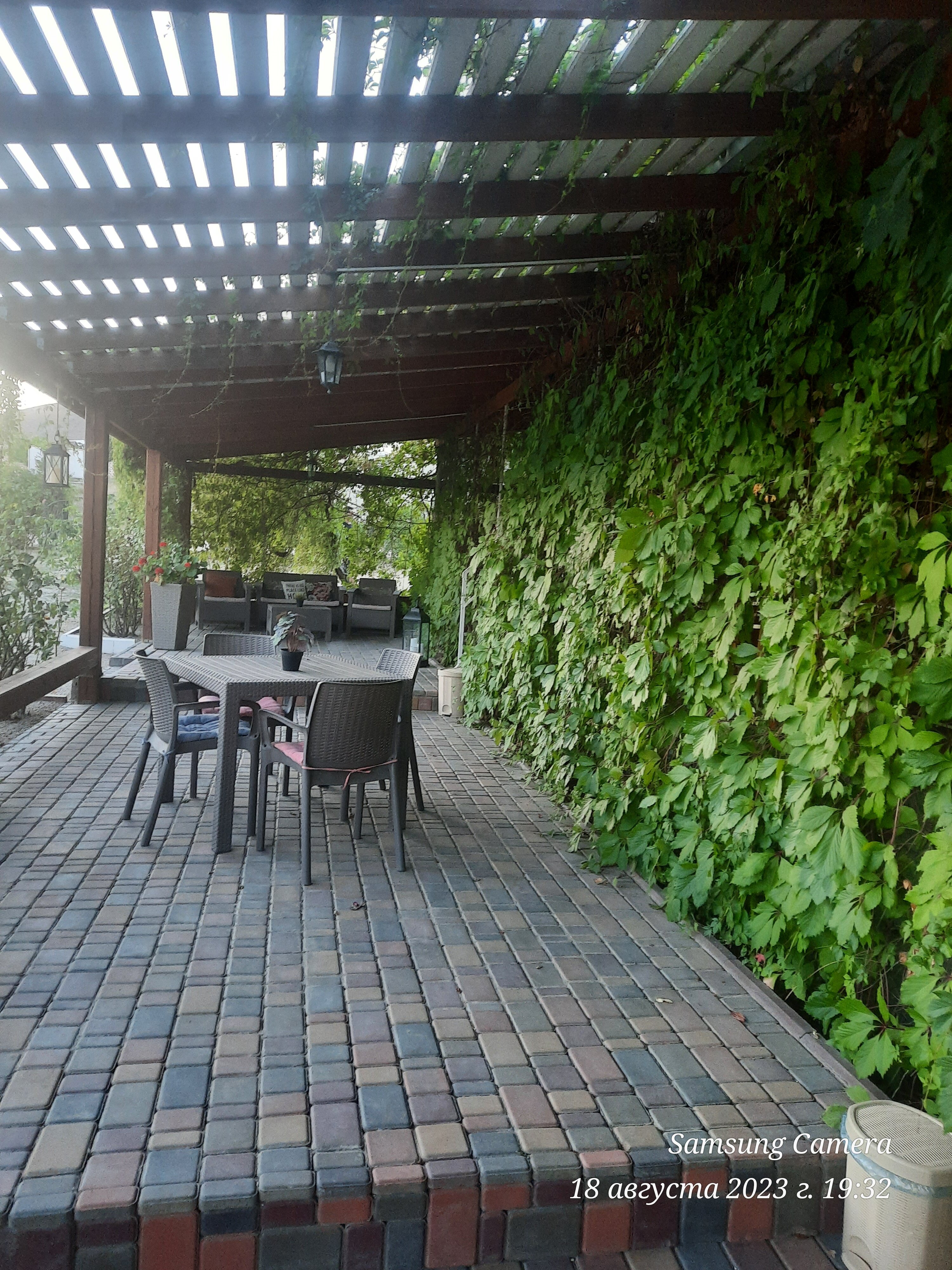 Фото Кактус