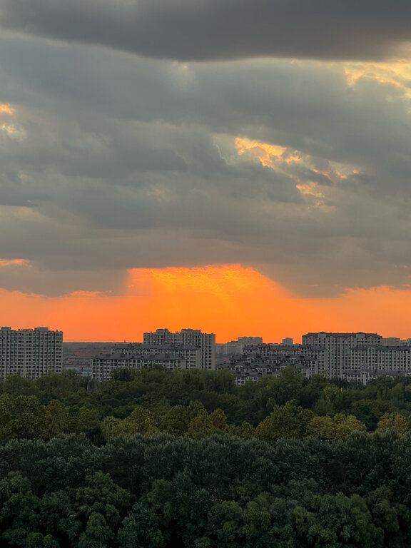 Фото Пушкин