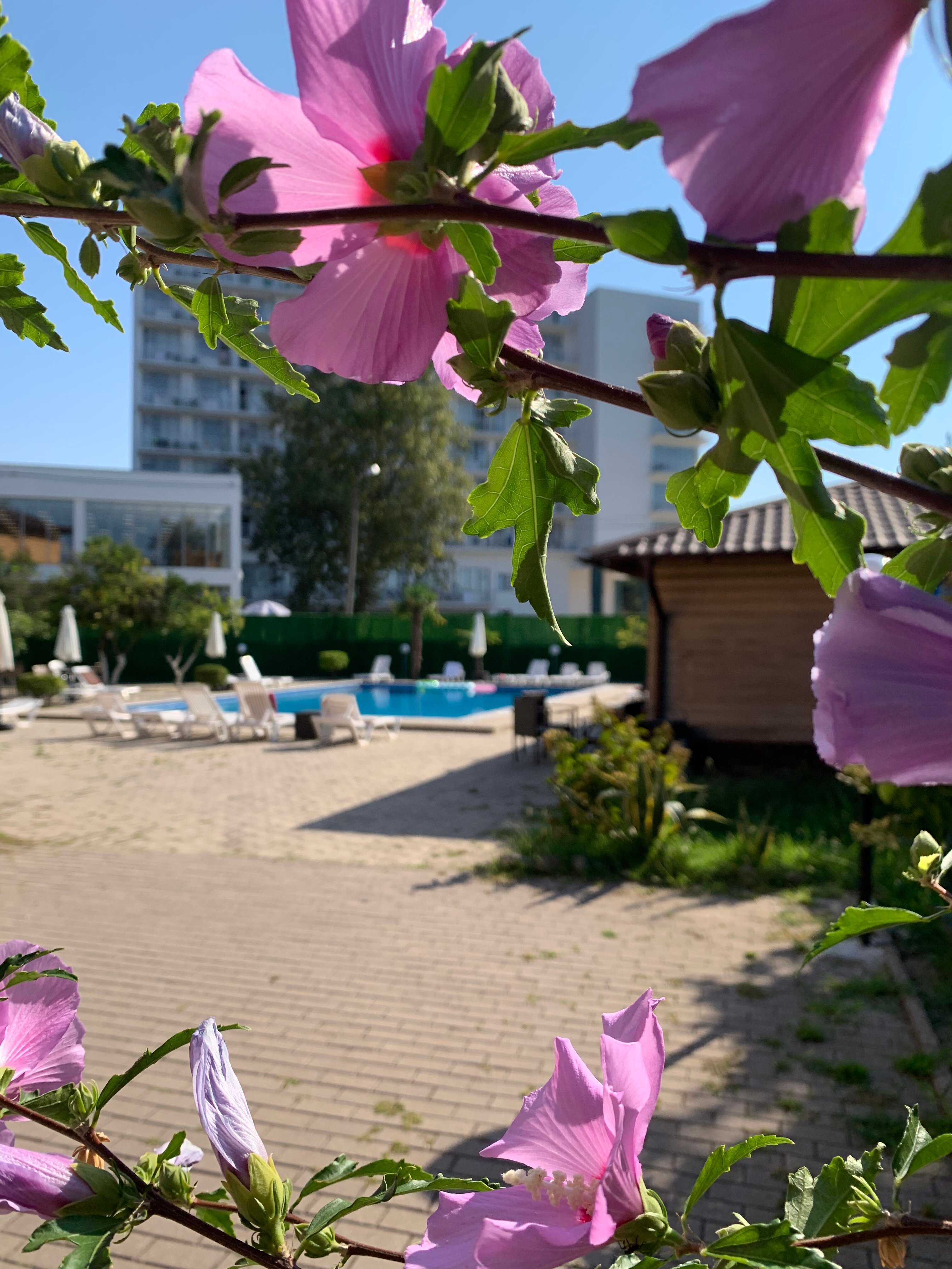 Фото Бассейн