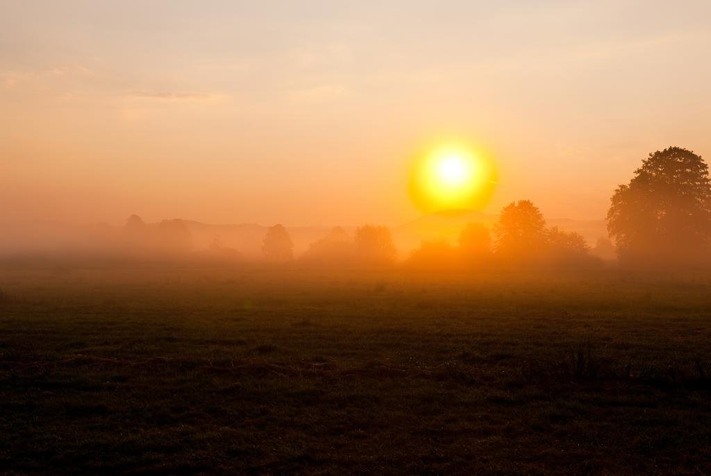 Фото G Design Hotel