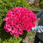 Oasis (Lenina Street, 41), flower shop