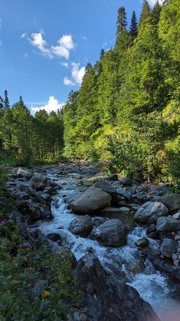 Ключ, ручей Источник Ауадхара, Гудаутский район, фото