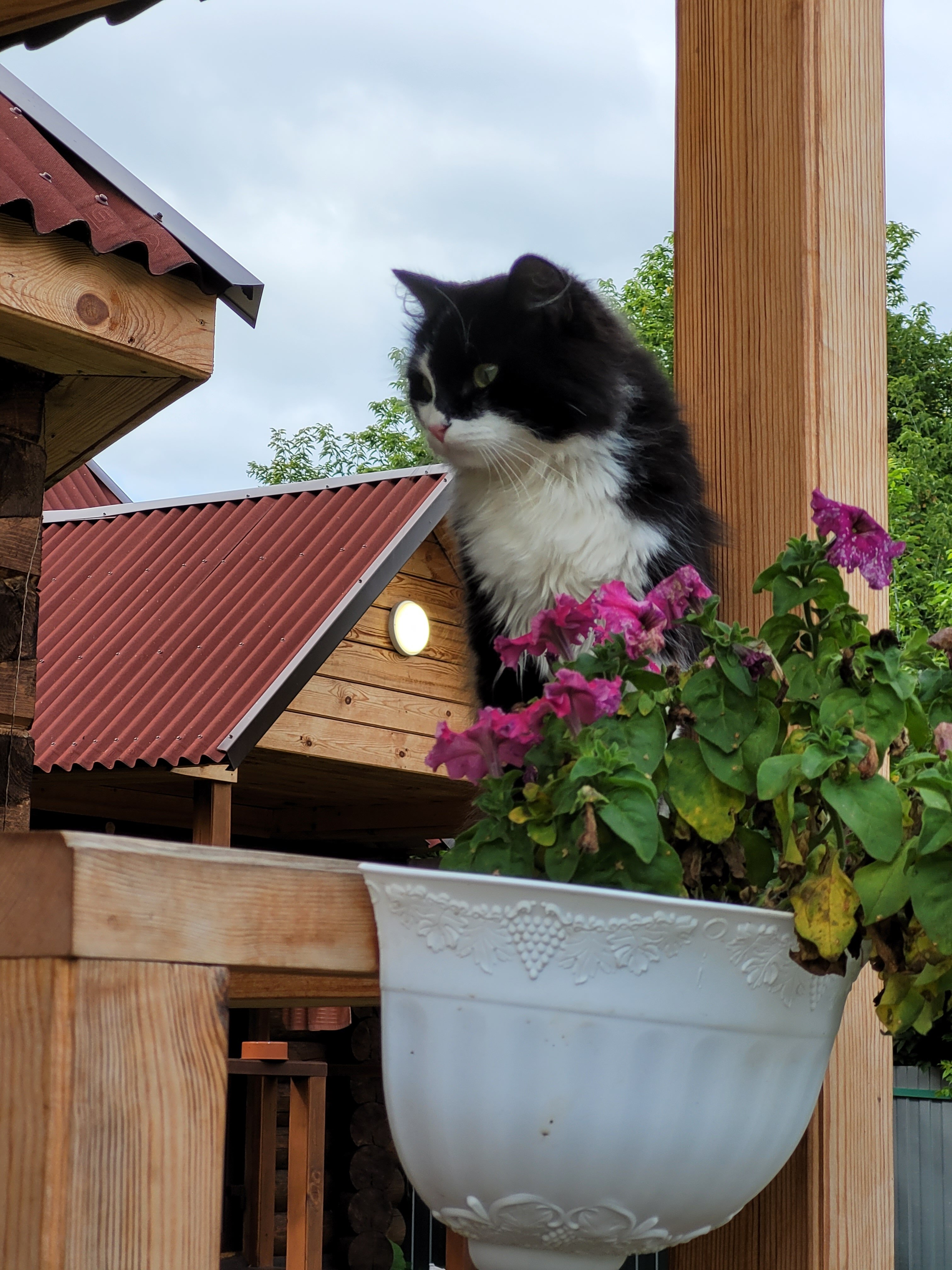 Фото Деревенька Алтая