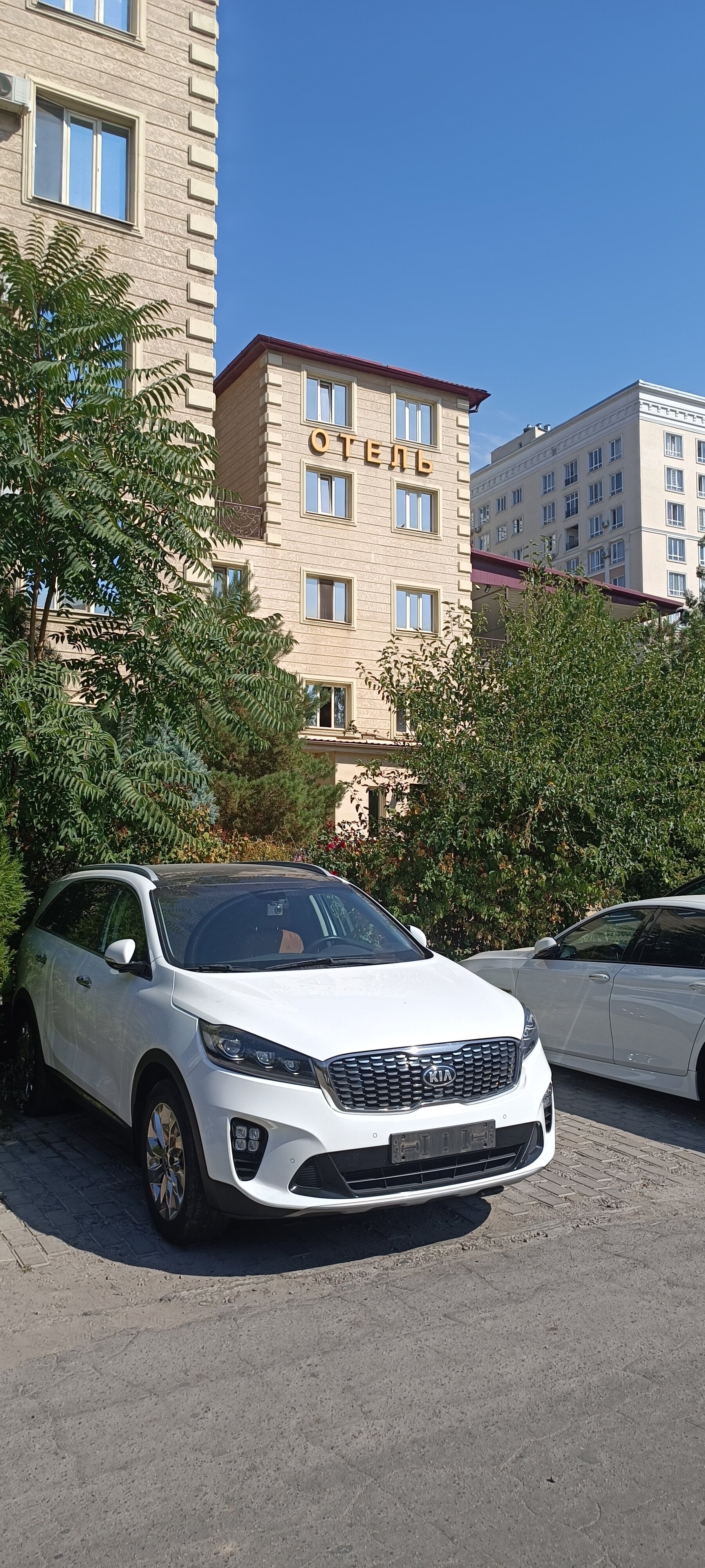 Фото отеля 3