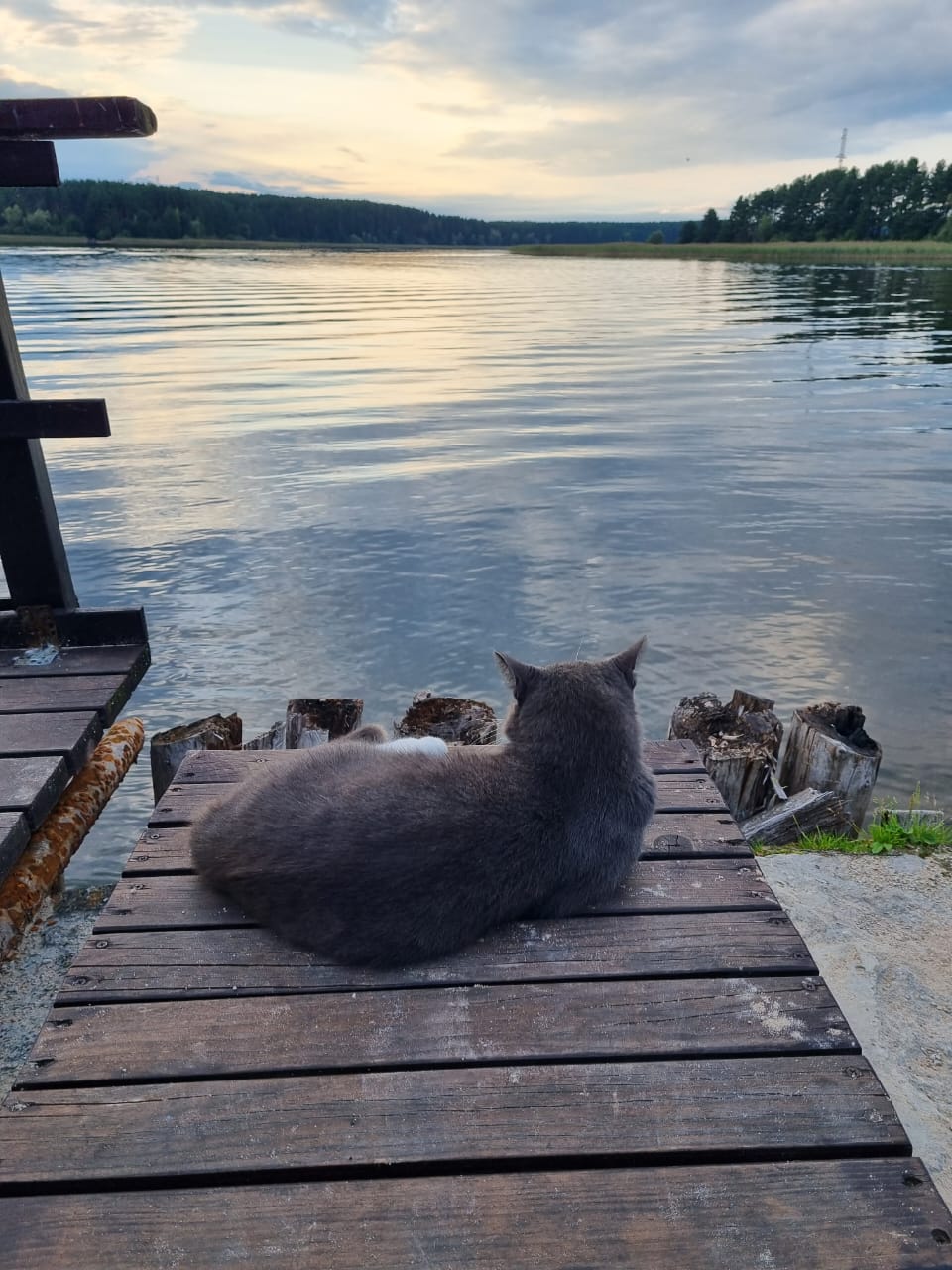 Фото Светлица