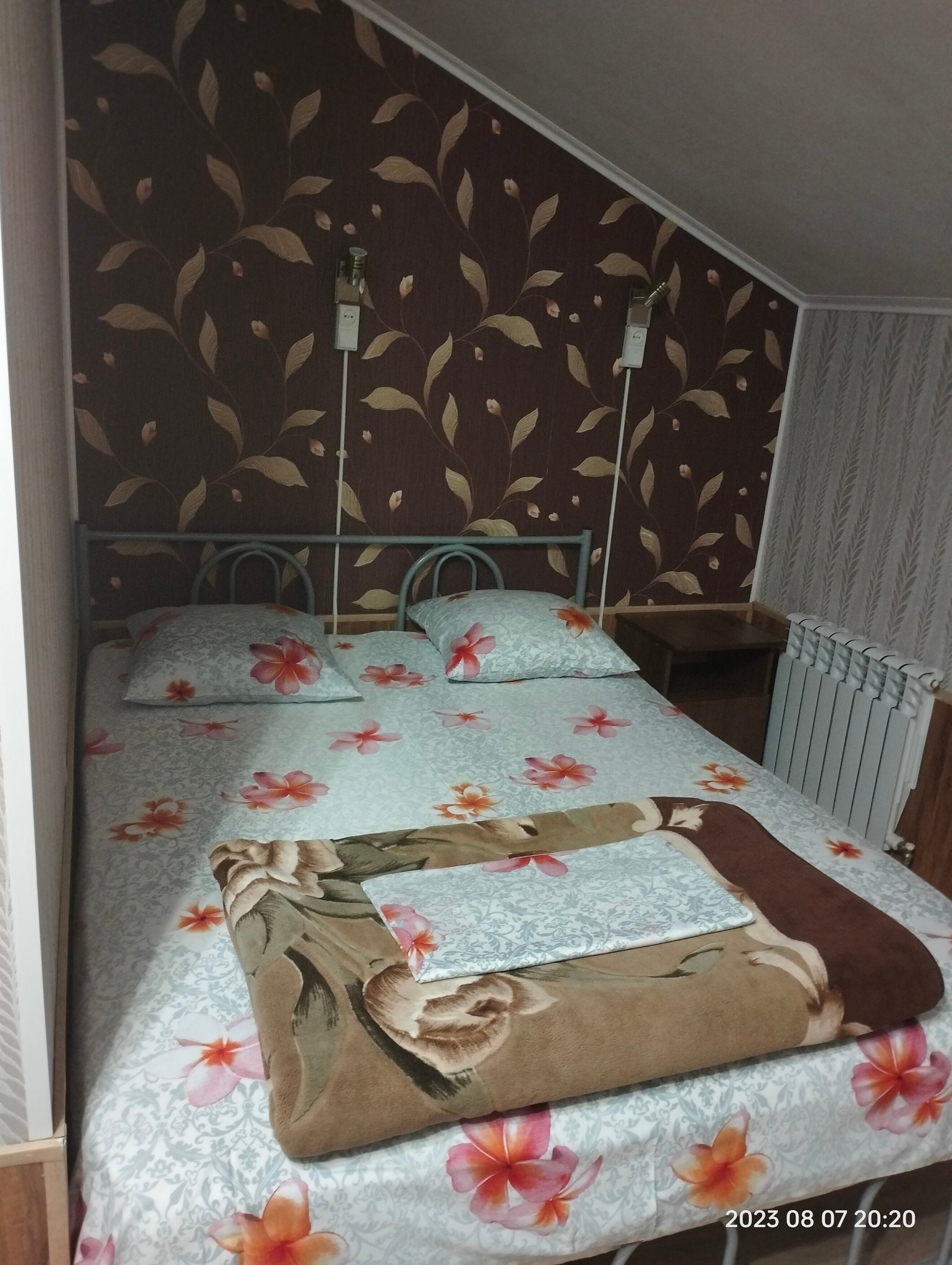 Фото Эдельвейс