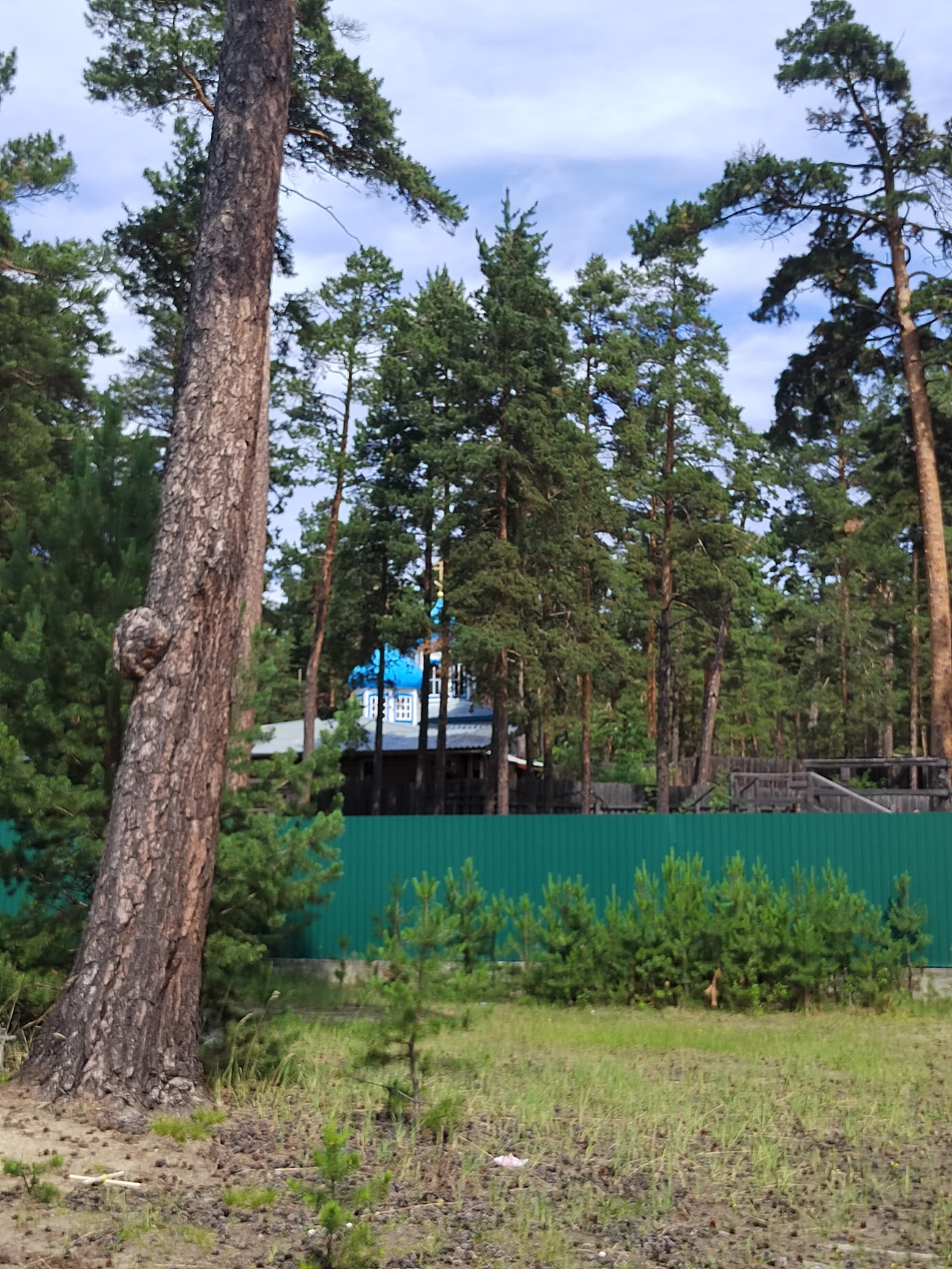 Фото Виктория