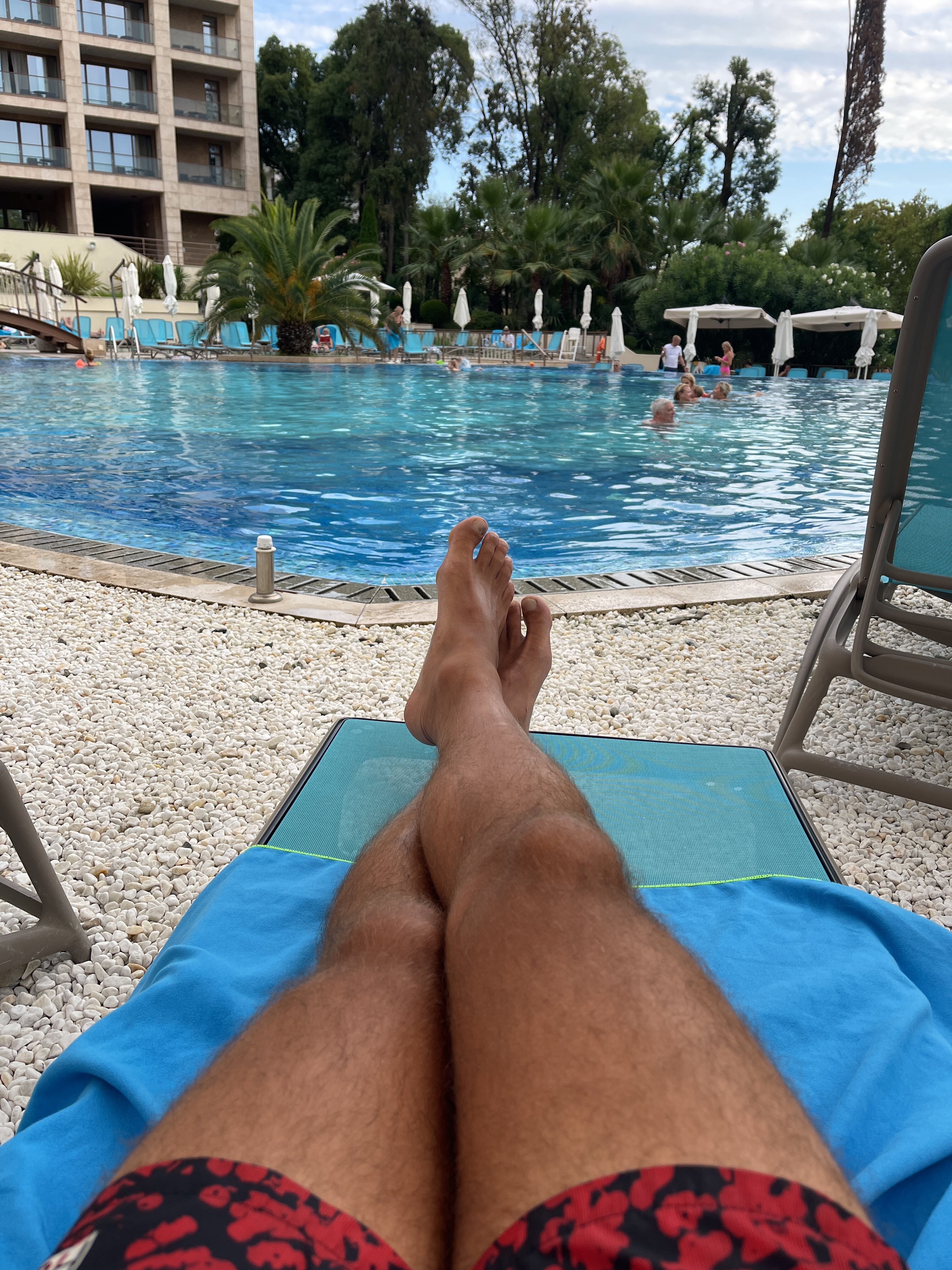 Фото Апартаменты Камелия