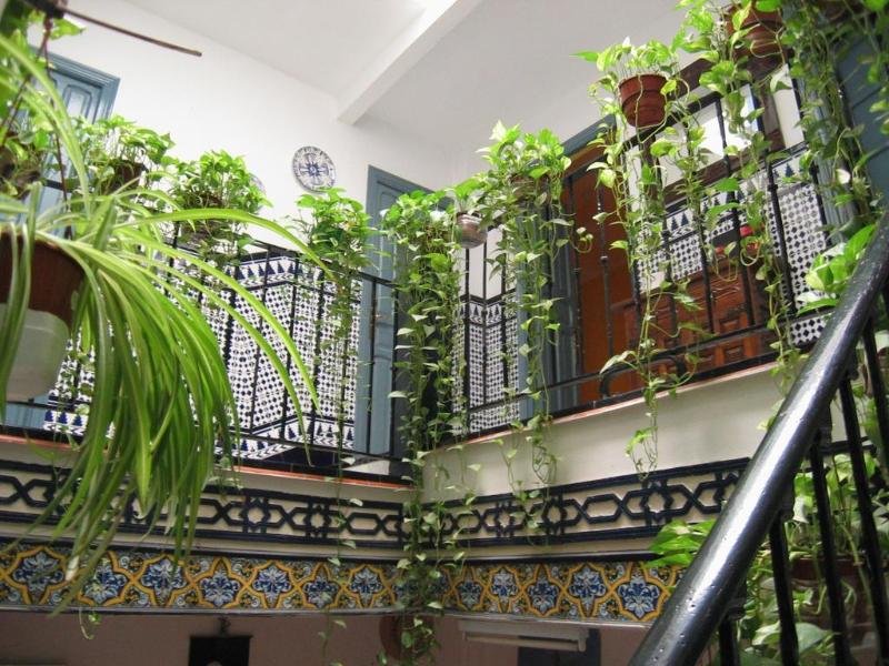 Фото Pension Montorena