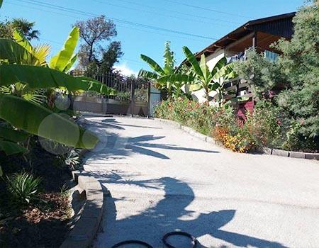 Фото У Комаровых