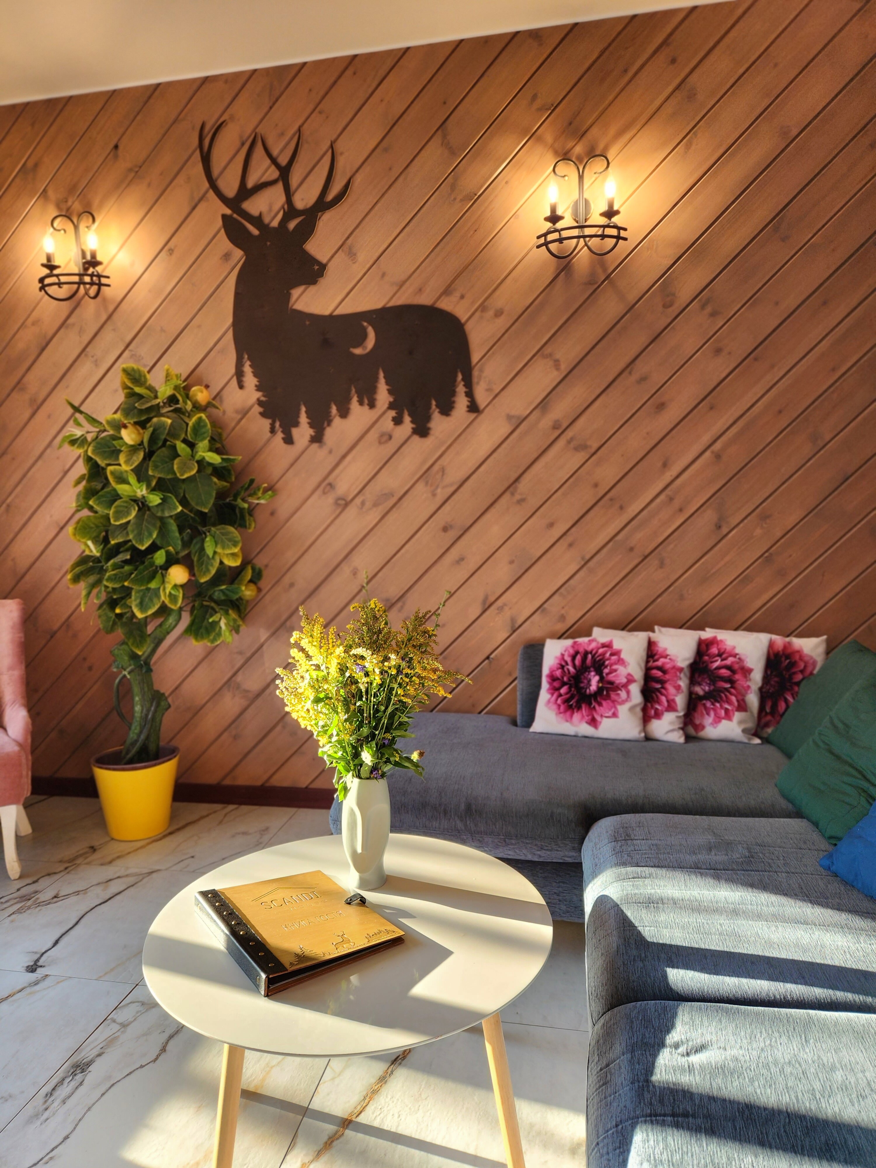 Фото Сканди хаус